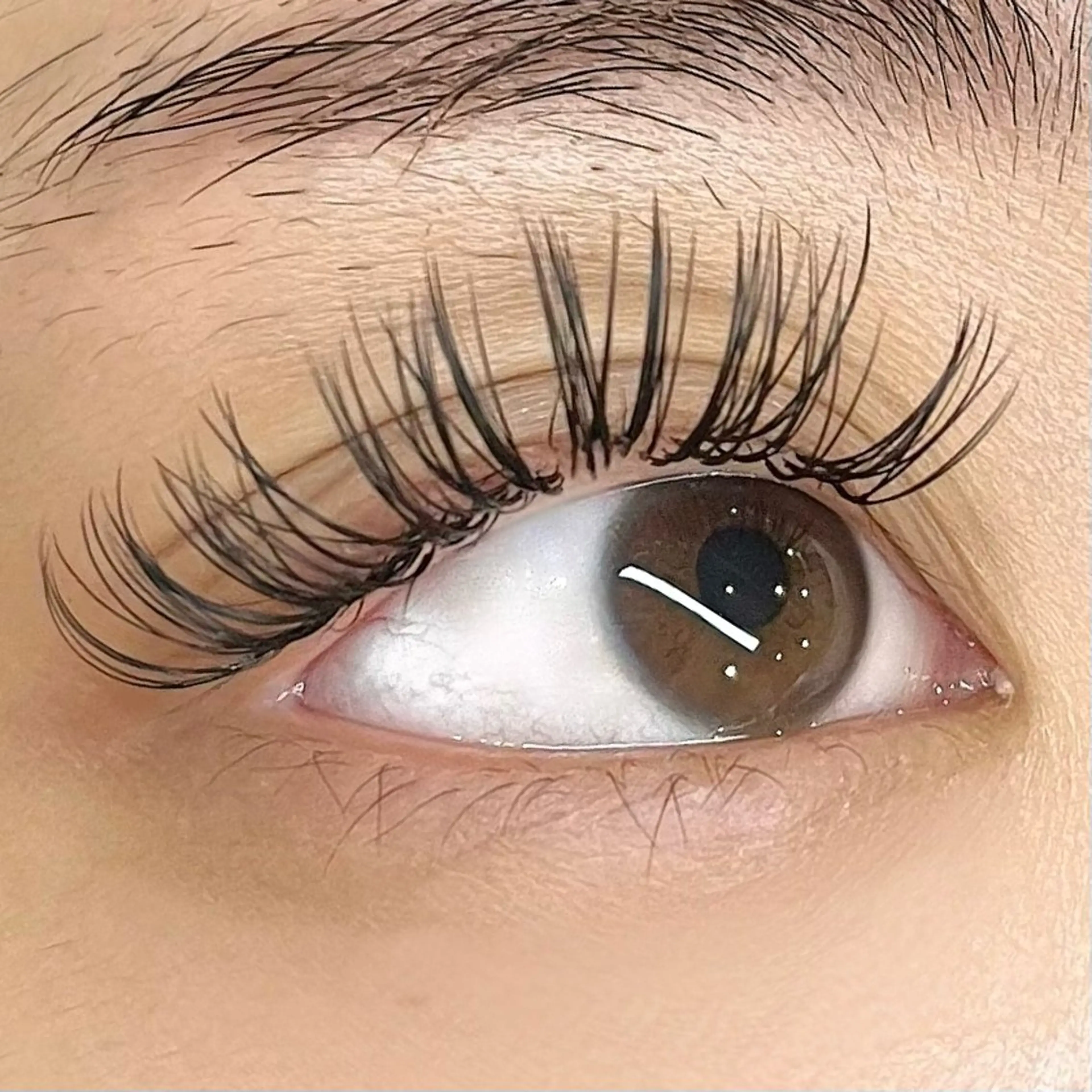 Wフラットorバインドロック100束　1番モチがいい施術です！シングルの160本​〜​180本の濃さ🌟の写真