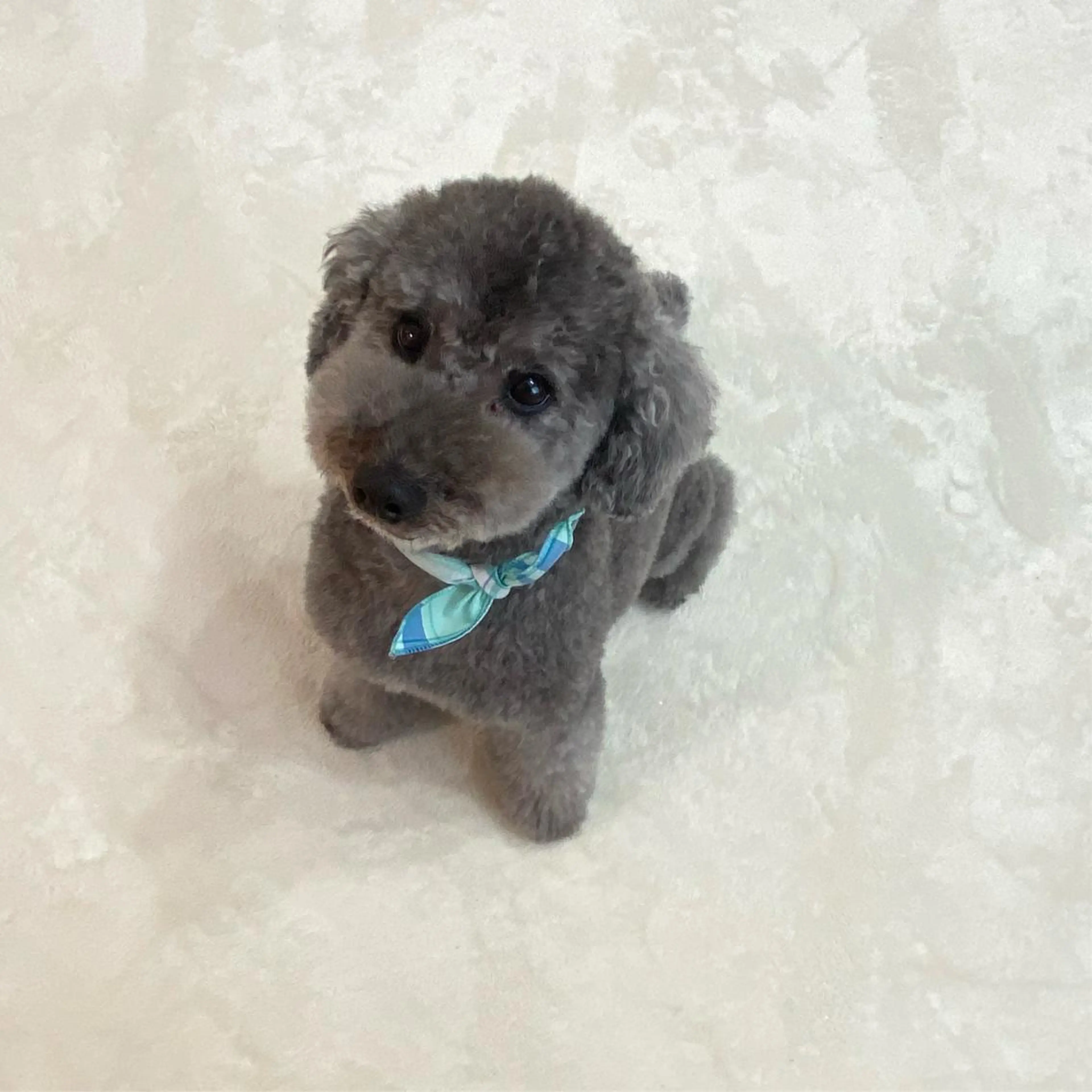 ネイル nail salon LNのネイルデザイン