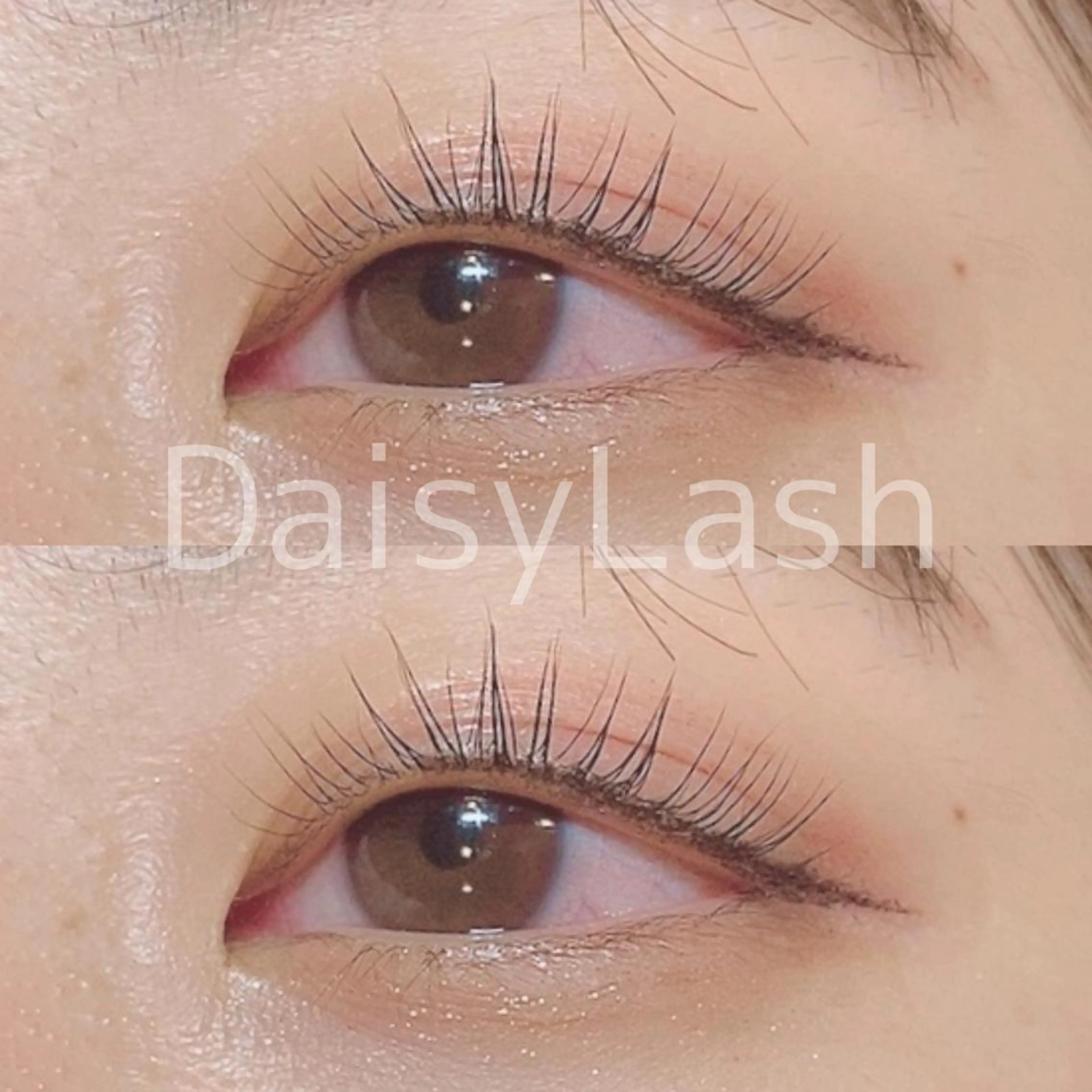 マツエク・マツパ DaisyLash 京橋店のマツエク・マツパデザイン