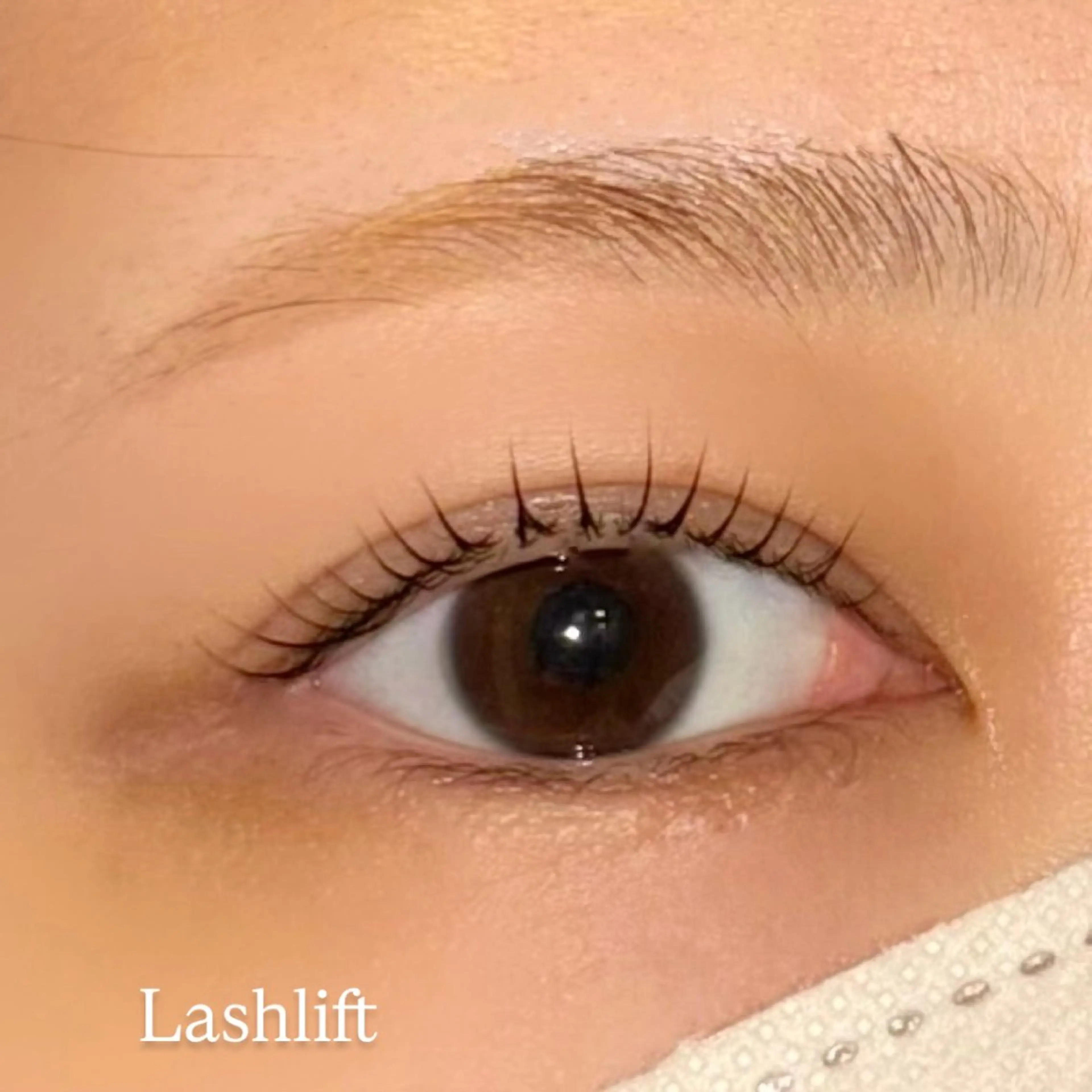 まつ毛パーマ😽🎀の写真