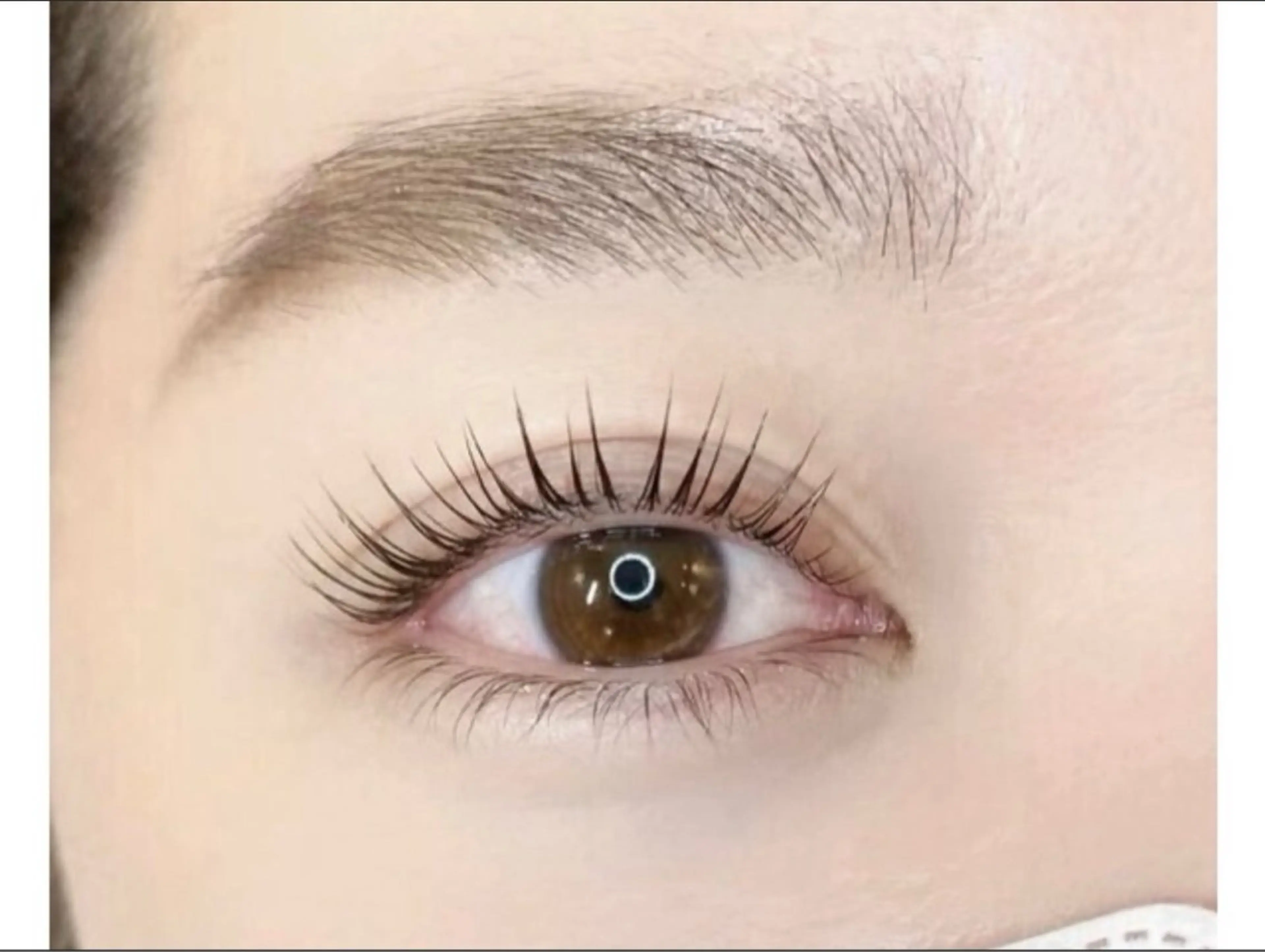 キャンペーン/まつげパーマ￥6600➡️¥3960の写真