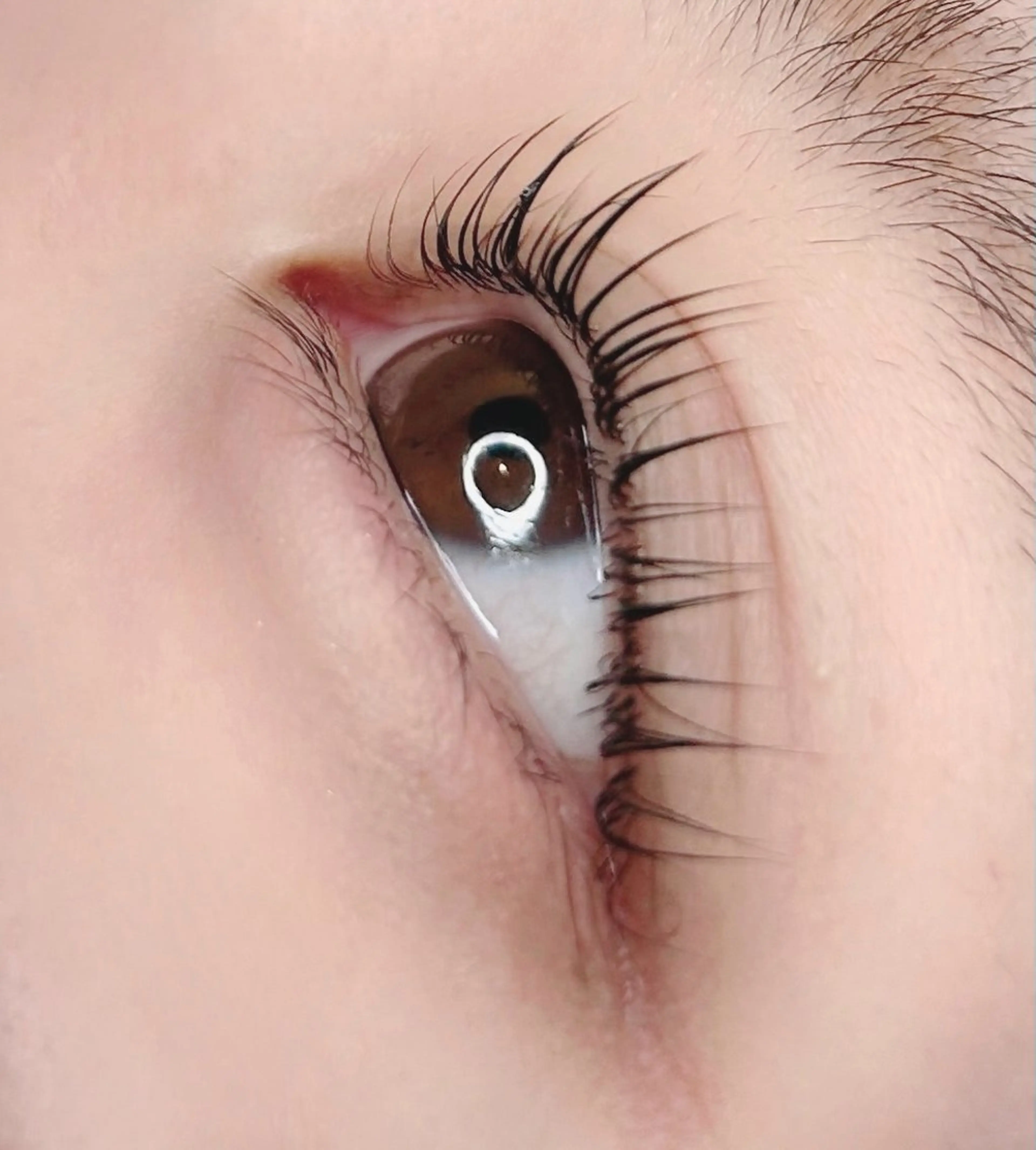 メンズ マツエク・マツパ マツパ Niko 天童店 【ニコ】所属・꒰ ‪Niko ꒱‬ aimi·͜·⋆のマツエク・マツパデザイン