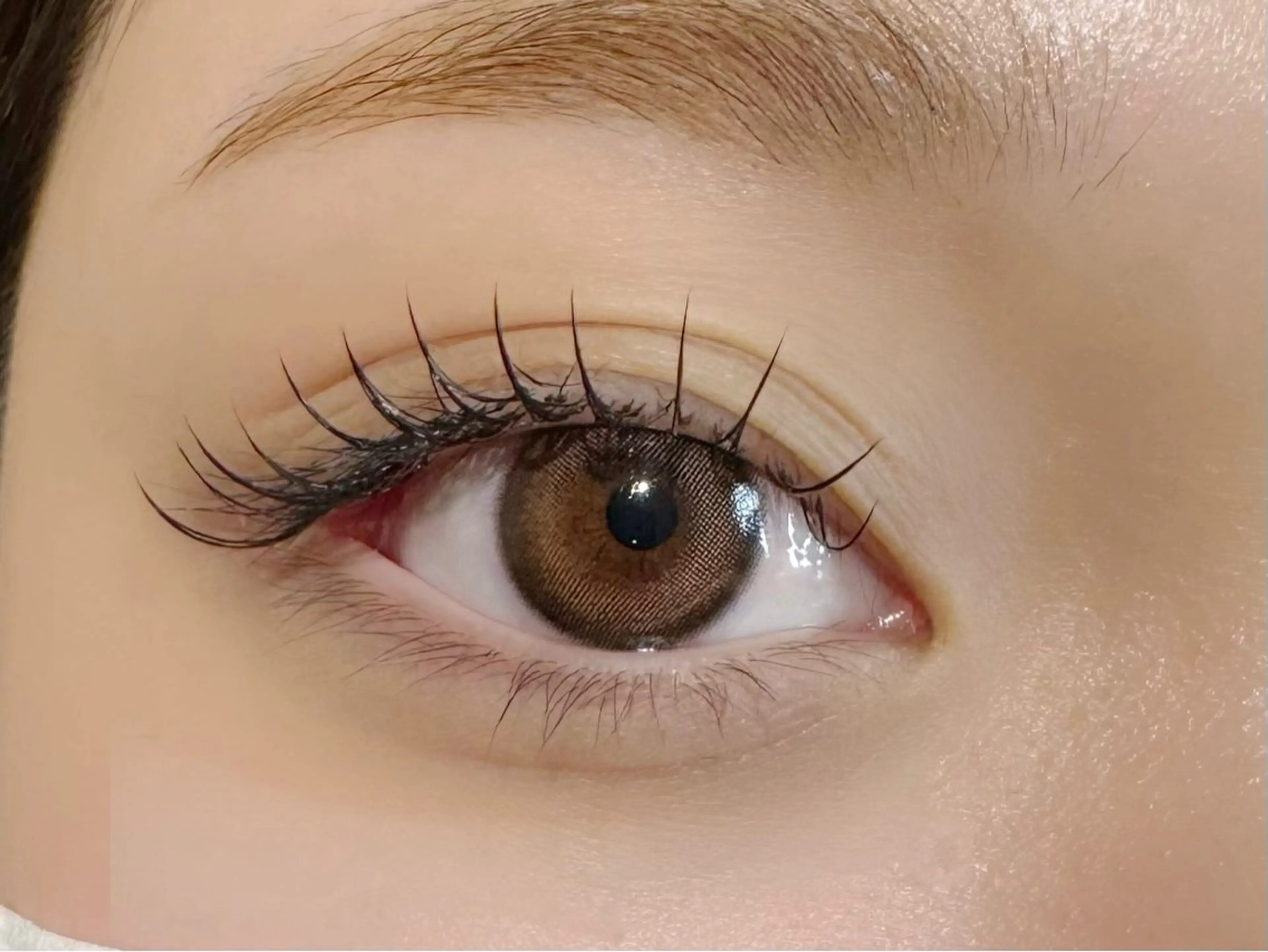 ​〜​LED​〜​フラットラッシュ❤︎100本（オフ込み）の写真