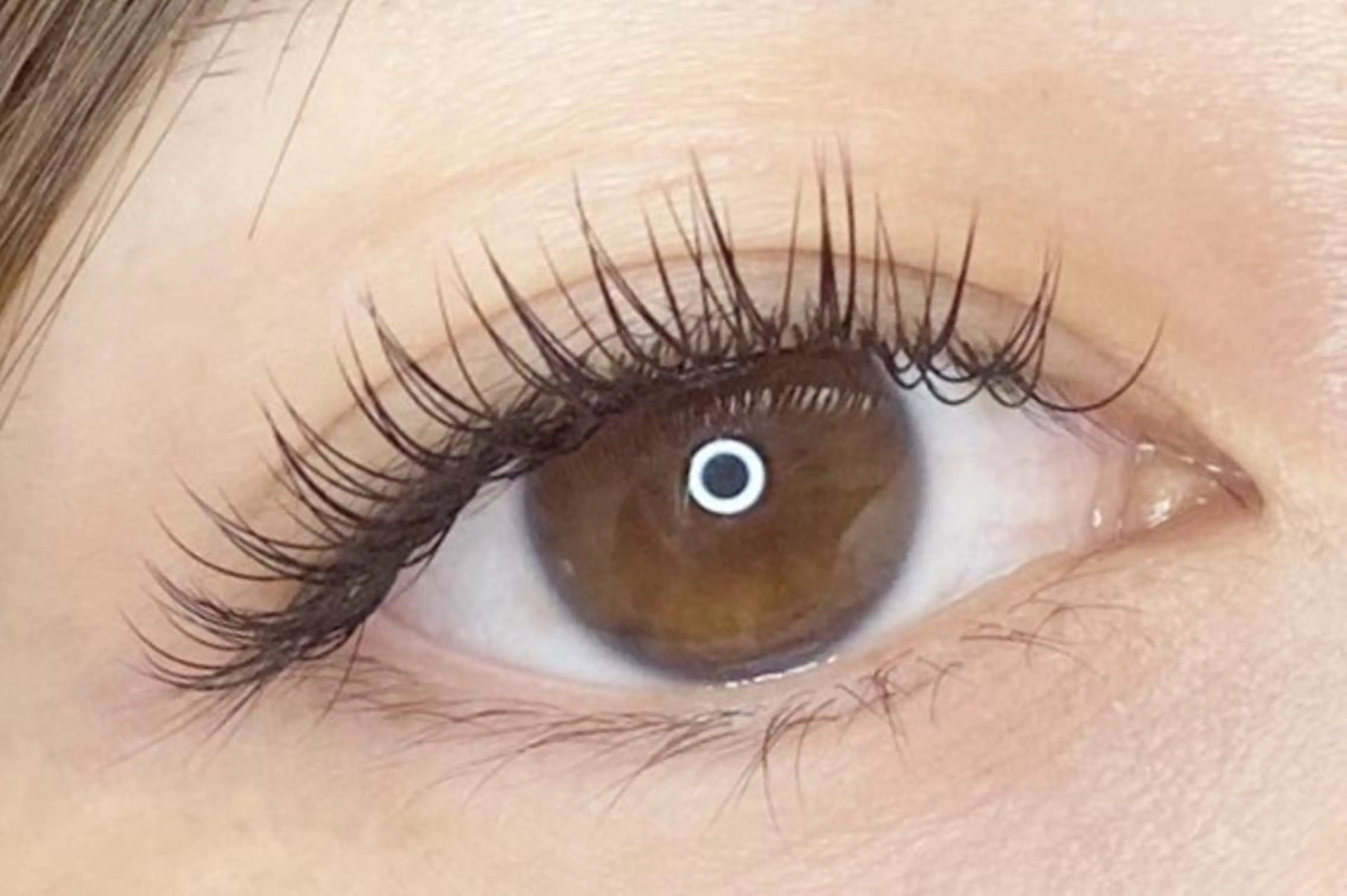 マツエク・マツパ フラットラッシュ プラスアイ 柏東駅前通り店のマツエク・マツパデザイン