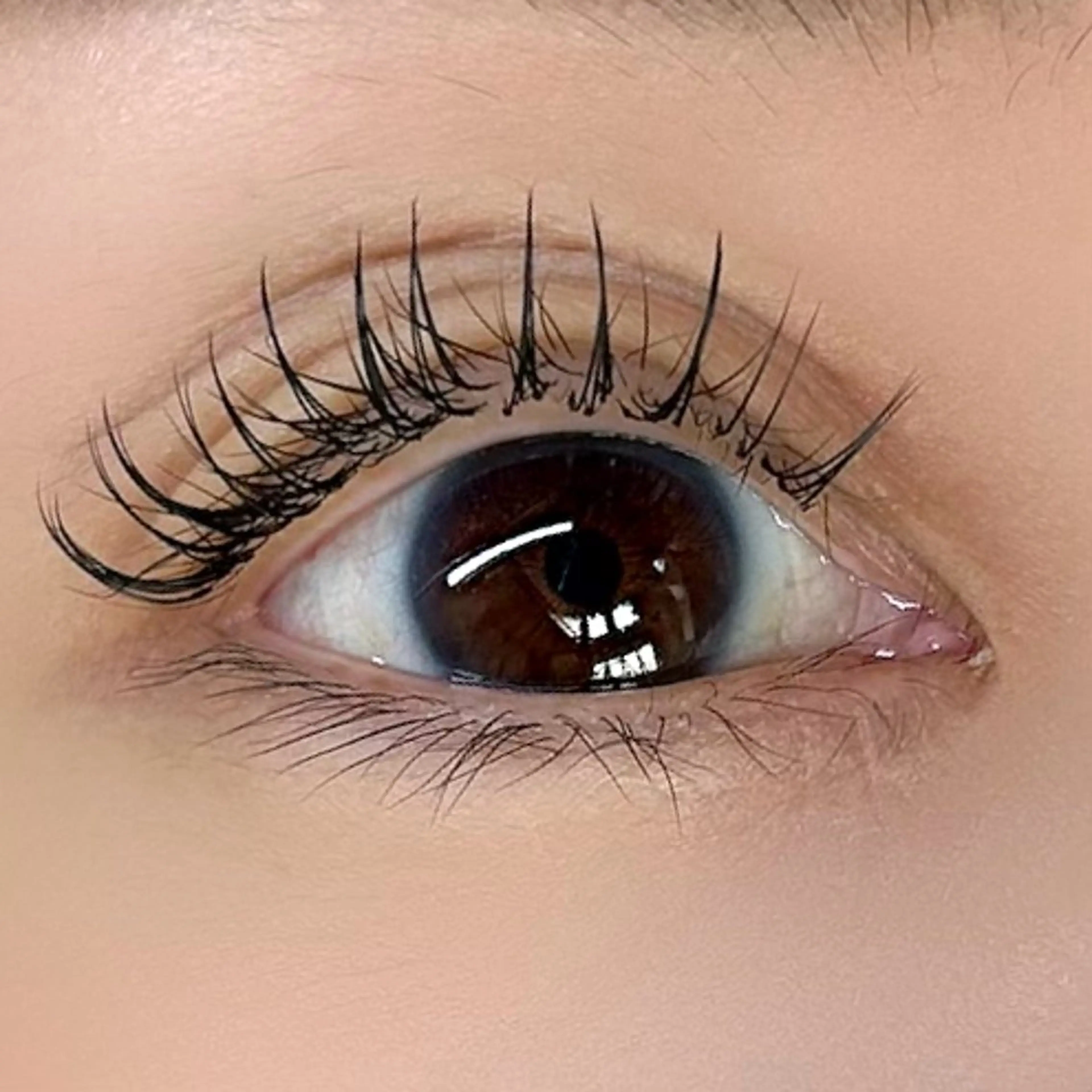 マツエク・マツパ Dカール マツエク soposilma 🧸今季OPENのマツエク・マツパデザイン