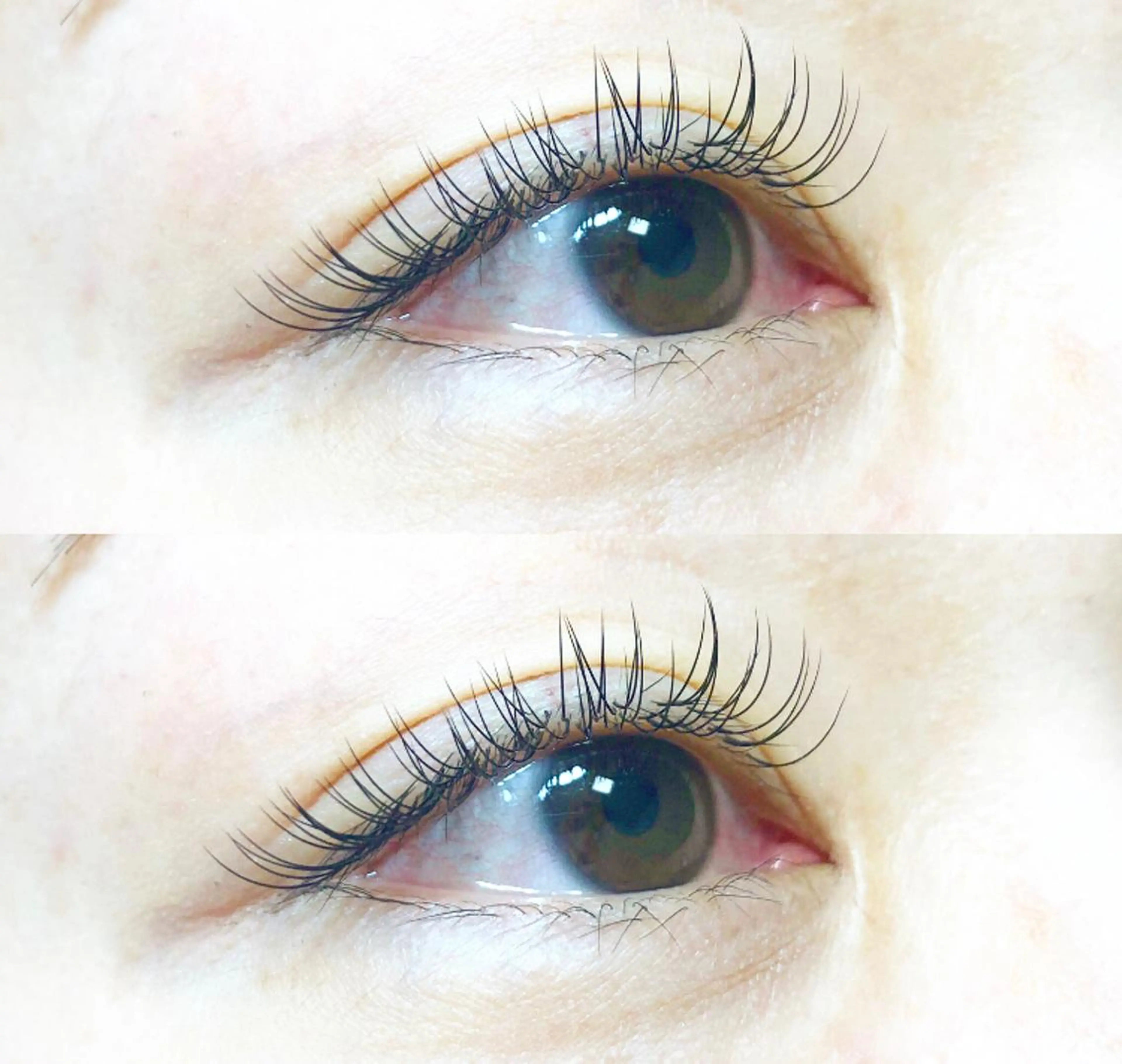 《ご新規様》フラットラッシュ120本の写真