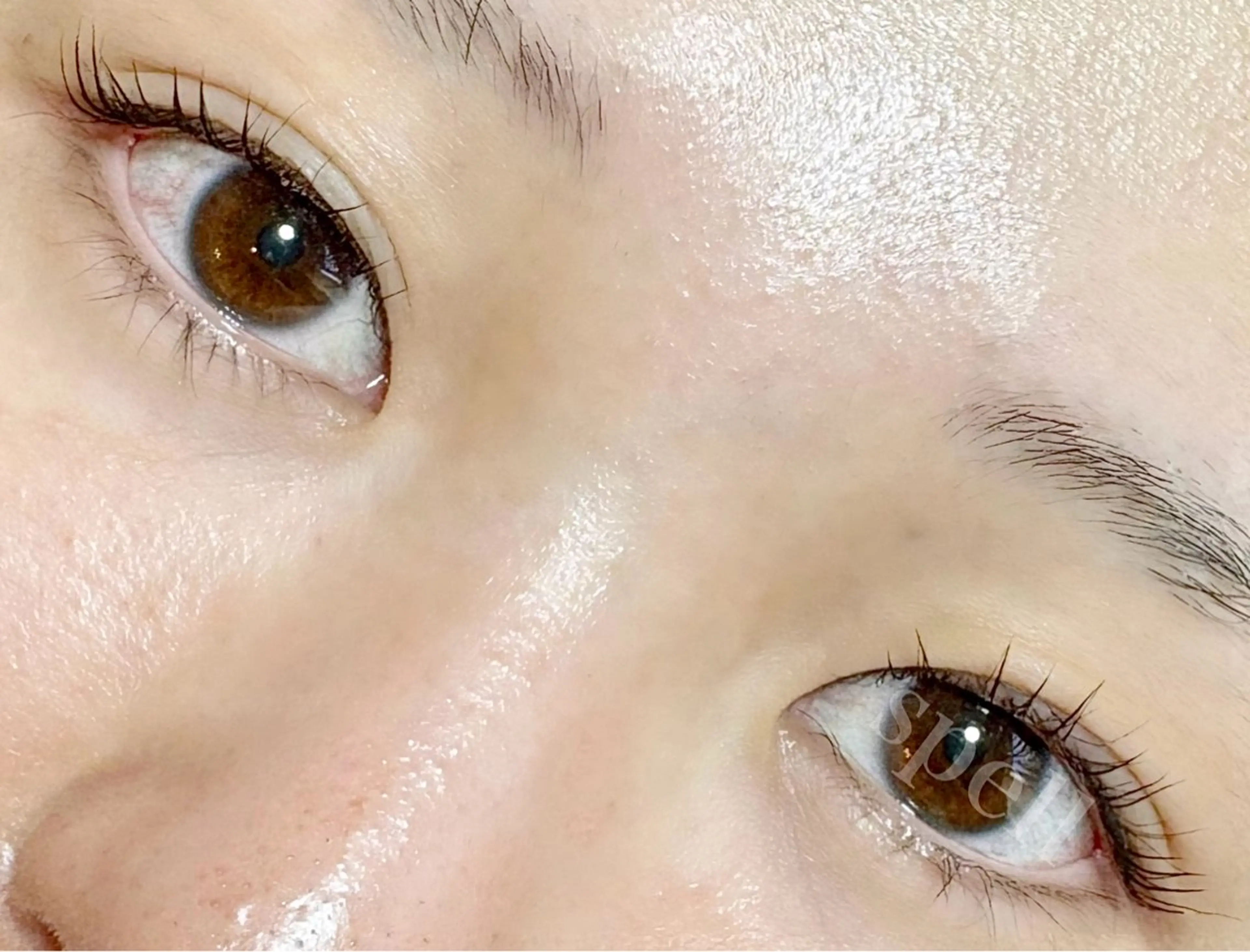 マツエク・マツパ マツパ spell_eyelash所属・spell eyelashのマツエク・マツパデザイン