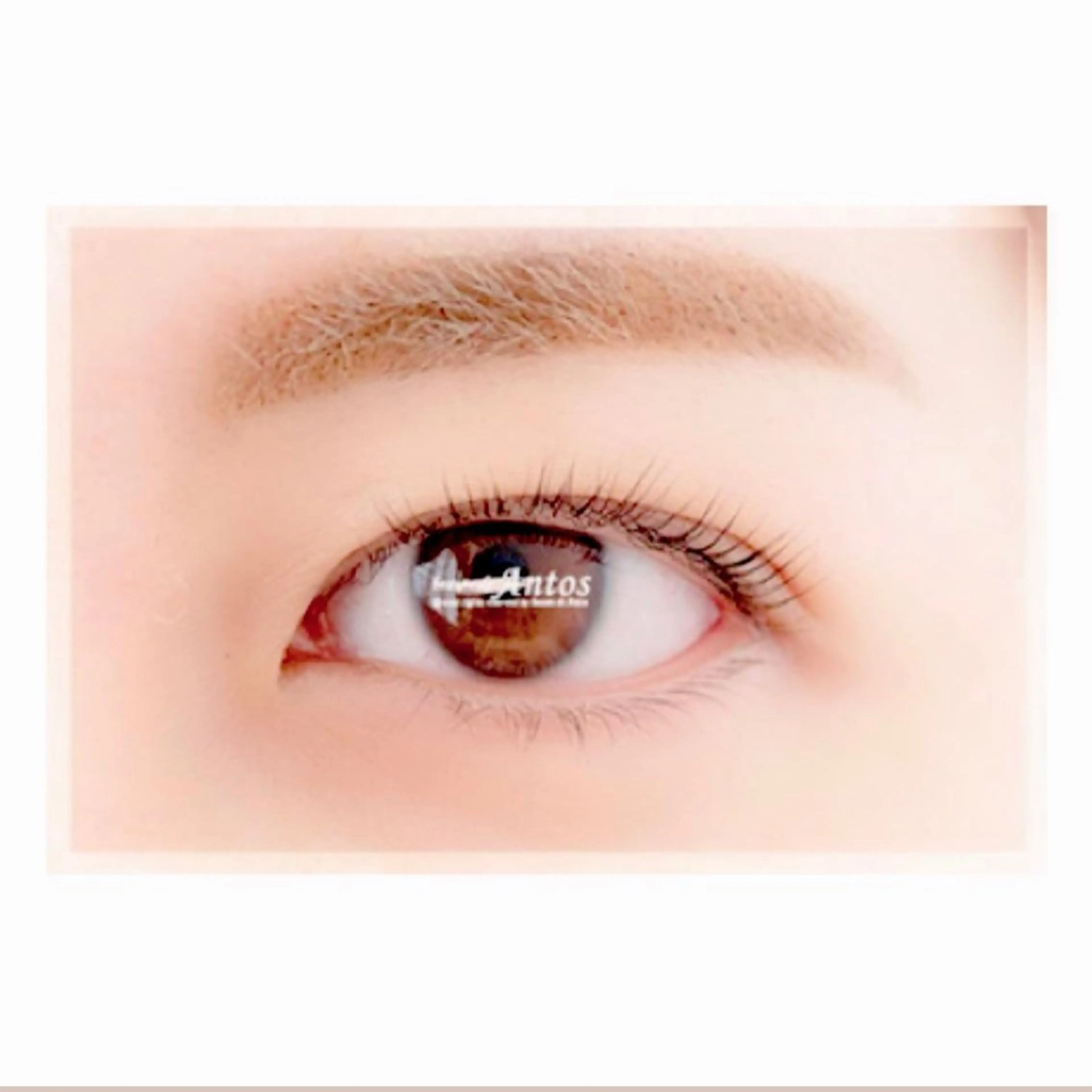 【新規/マツエクorパーマ&眉WAXスタイリング】大人気＊まつげメニューはご来店してから相談して決めたい方にオススメ♪の写真