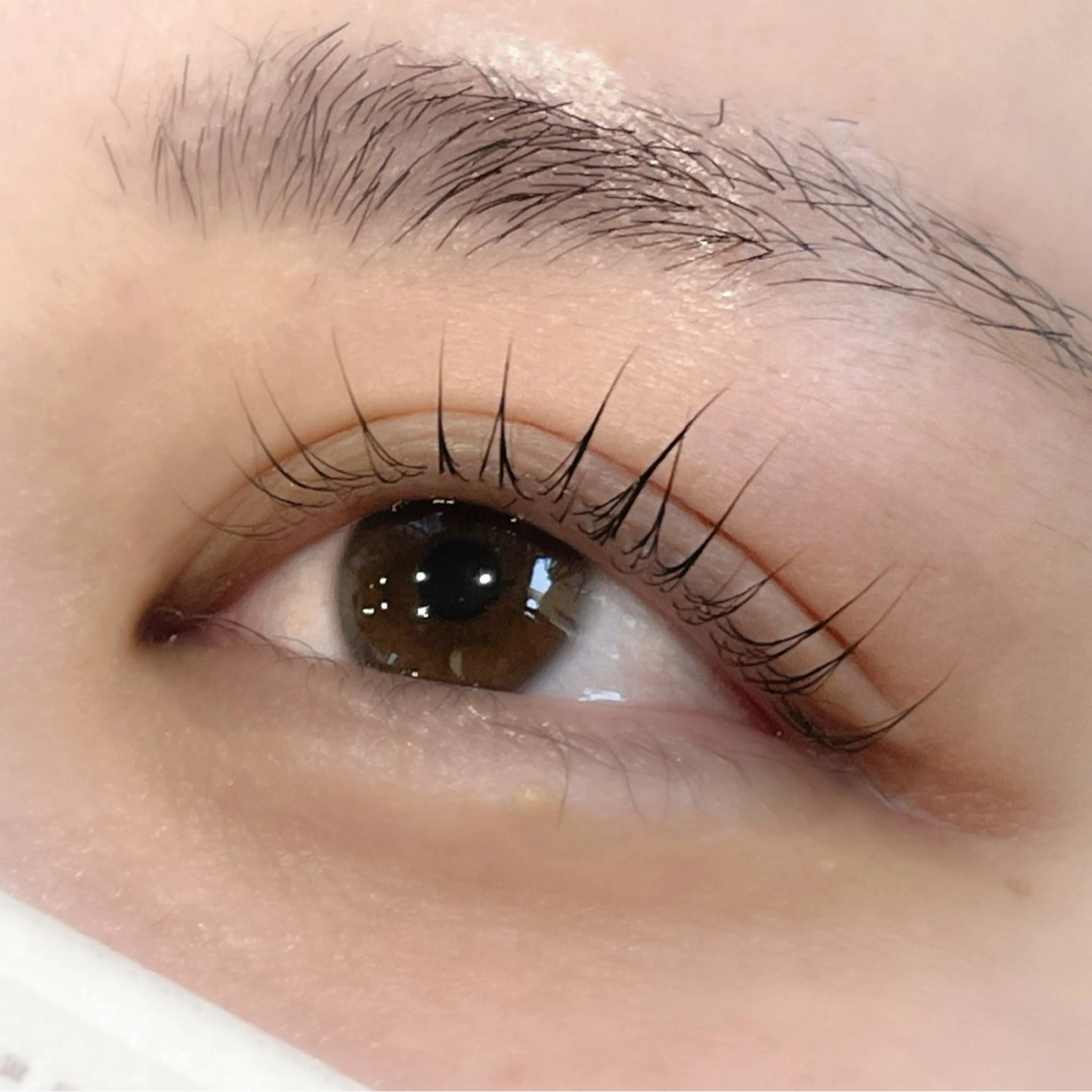 マツエク・マツパ マツパ Lapis.eye&blowsalon所属・Lapis eye&blowのマツエク・マツパデザイン