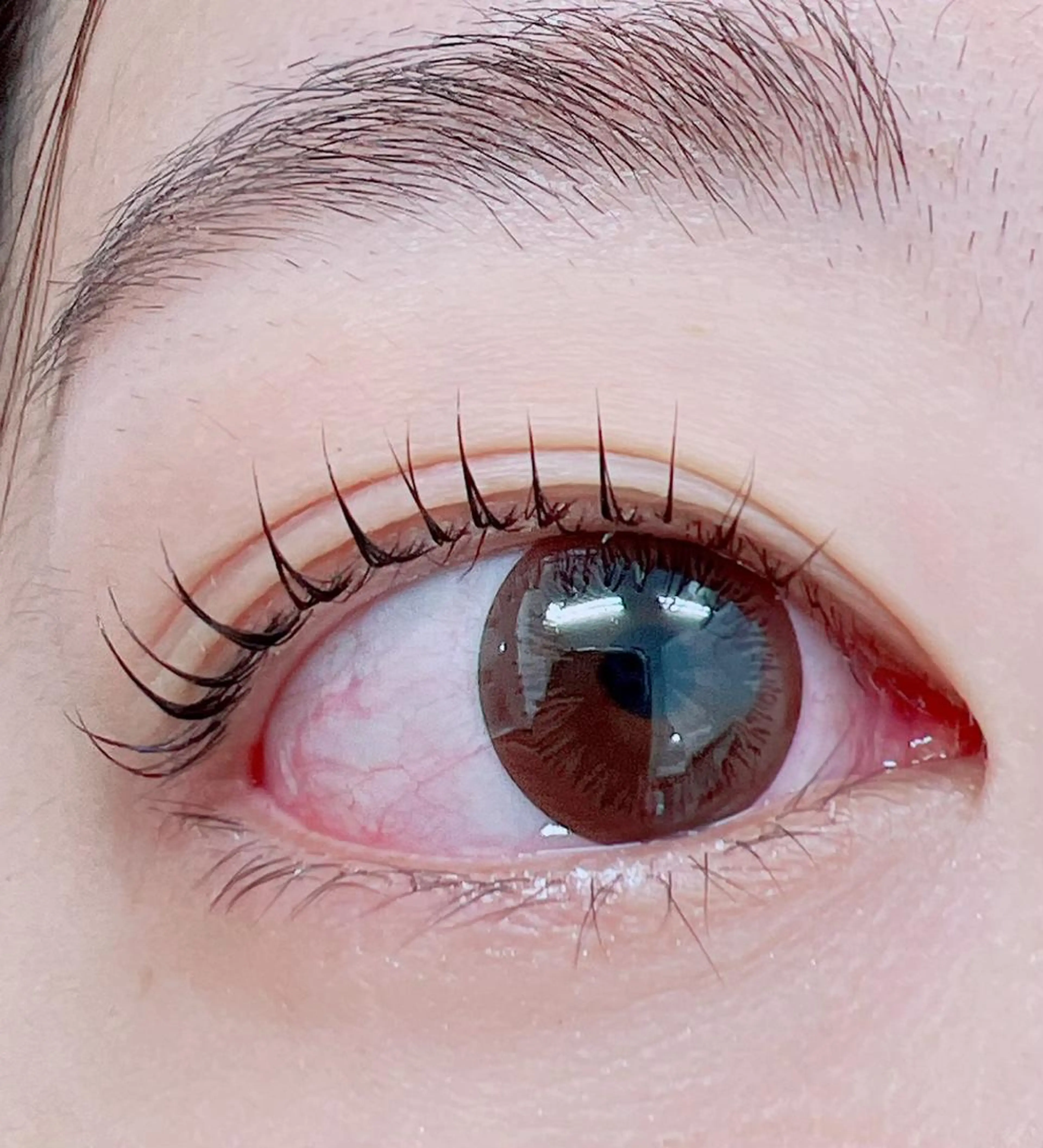 マツエク・マツパ まつ毛エクステ専門店WIKIRA所属・WIKIRA 押上 さくらばのマツエク・マツパデザイン