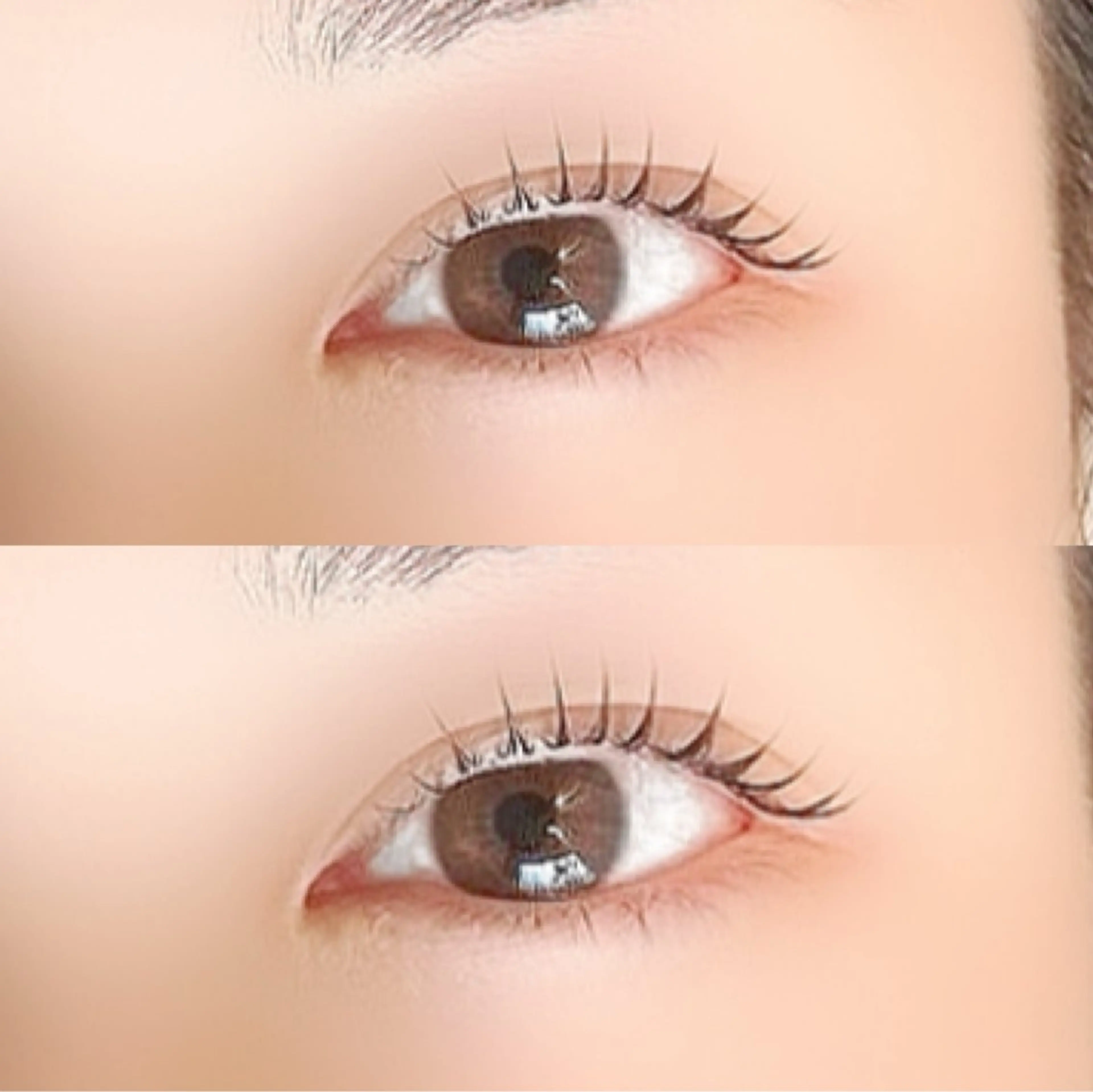 🇰🇷韓国風マスカラパーマ🇰🇷 （垢抜け束感まつ毛）の写真