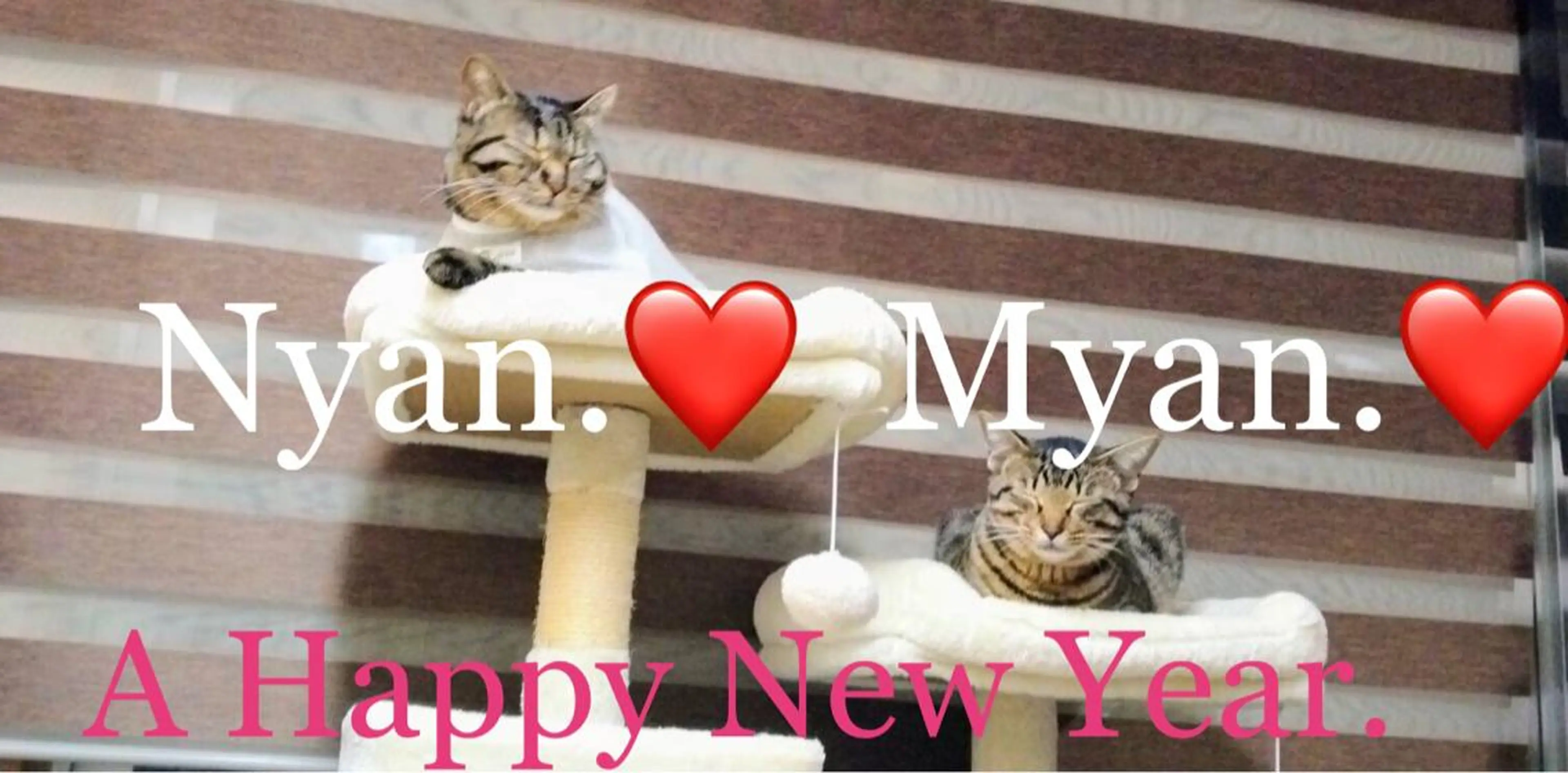 マツエク・マツパ EyeLashSpace Trust.所属・アイラッシュスペース トラスト川越のマツエク・マツパデザイン