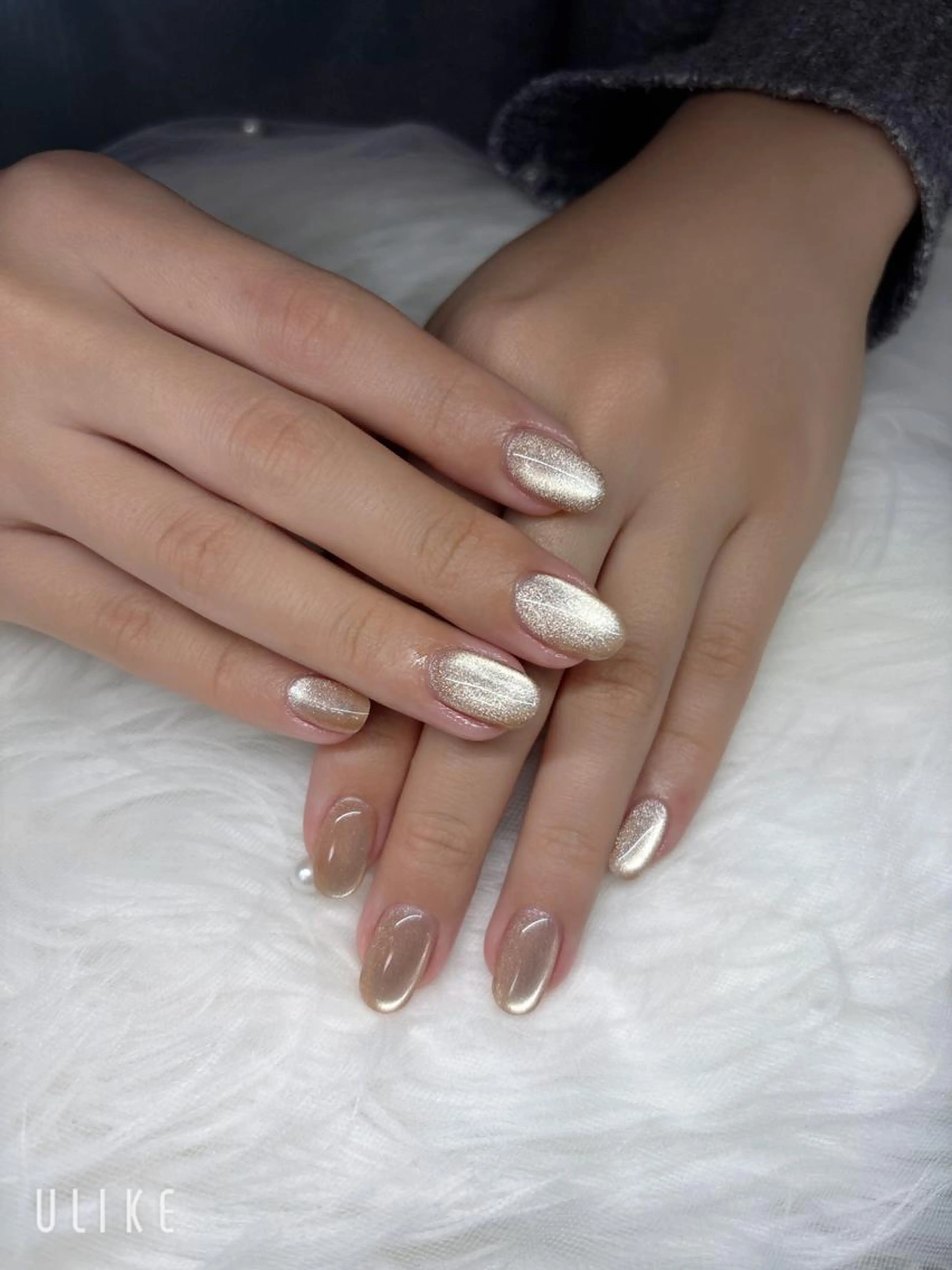 シア系マグネット【オフあり】デビュー前の練習します。店長指導入る事もありの写真