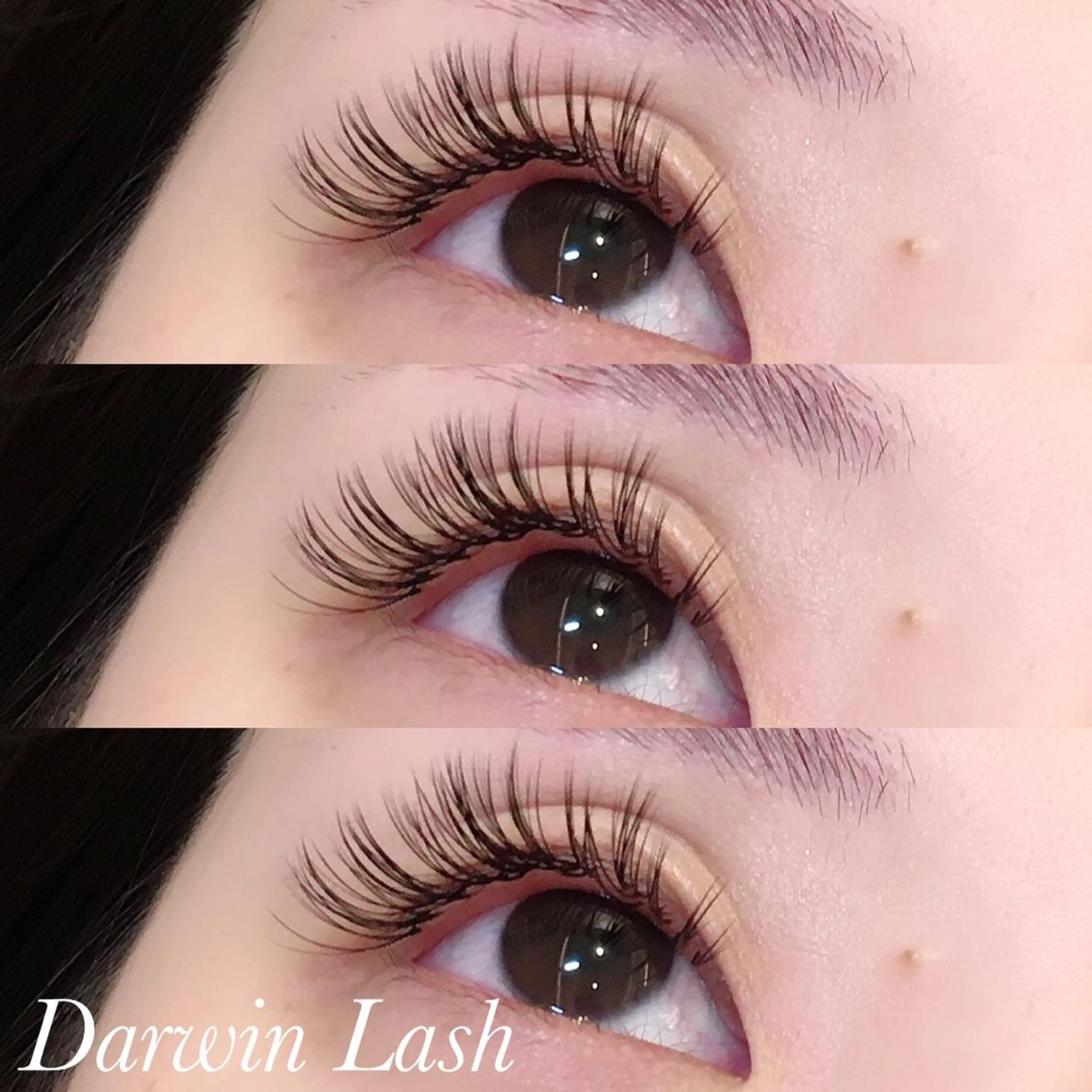 マツエク・マツパ バインドロック まつげと眉毛のお店Sakura Lash【サクララッシュ】所属・【ダメージケア特化】 🌸 サクララッシュの眉毛・アイブロウイメージ