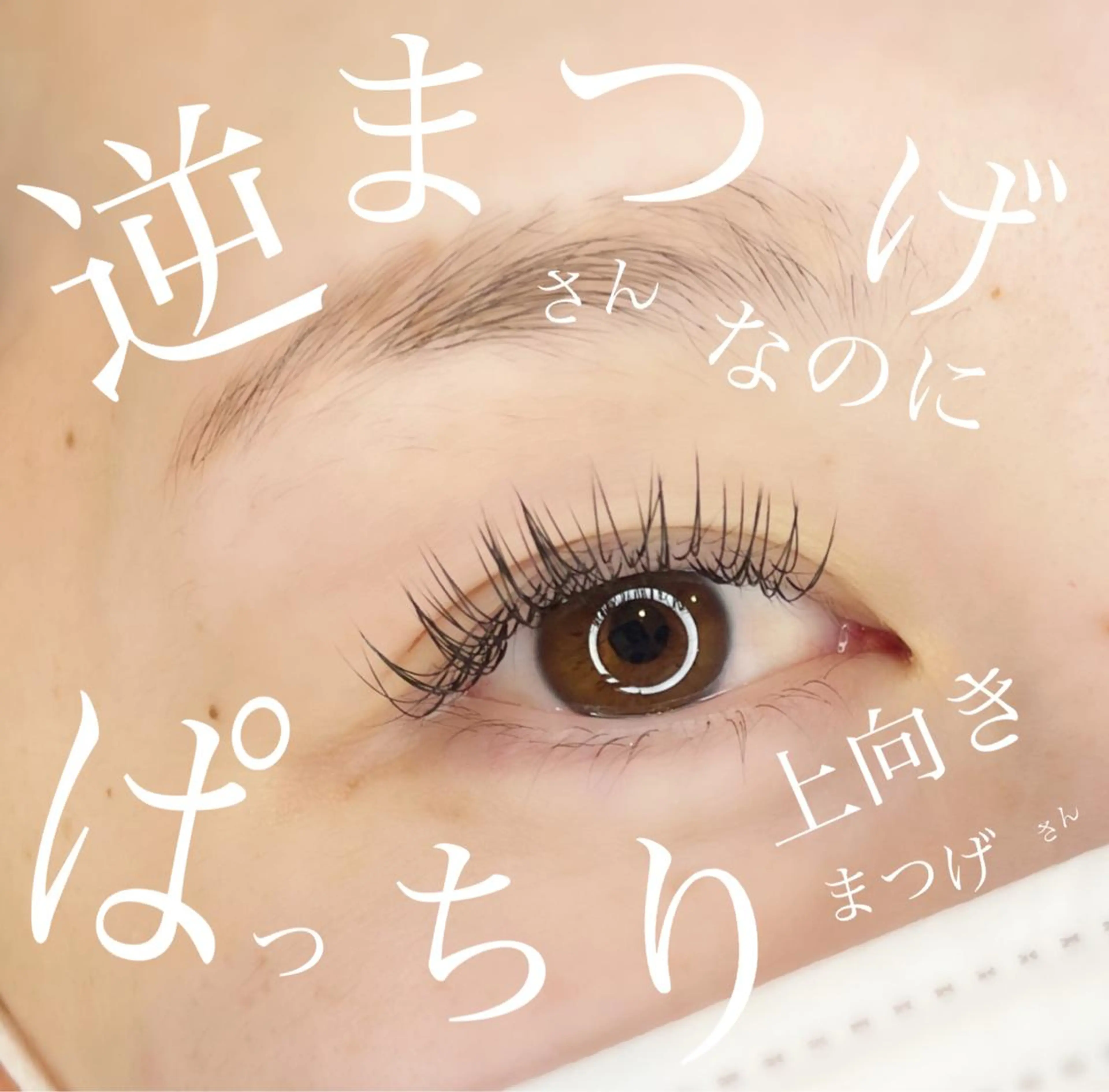 マツエク・マツパ 山城 エスタの眉毛・アイブロウイメージ