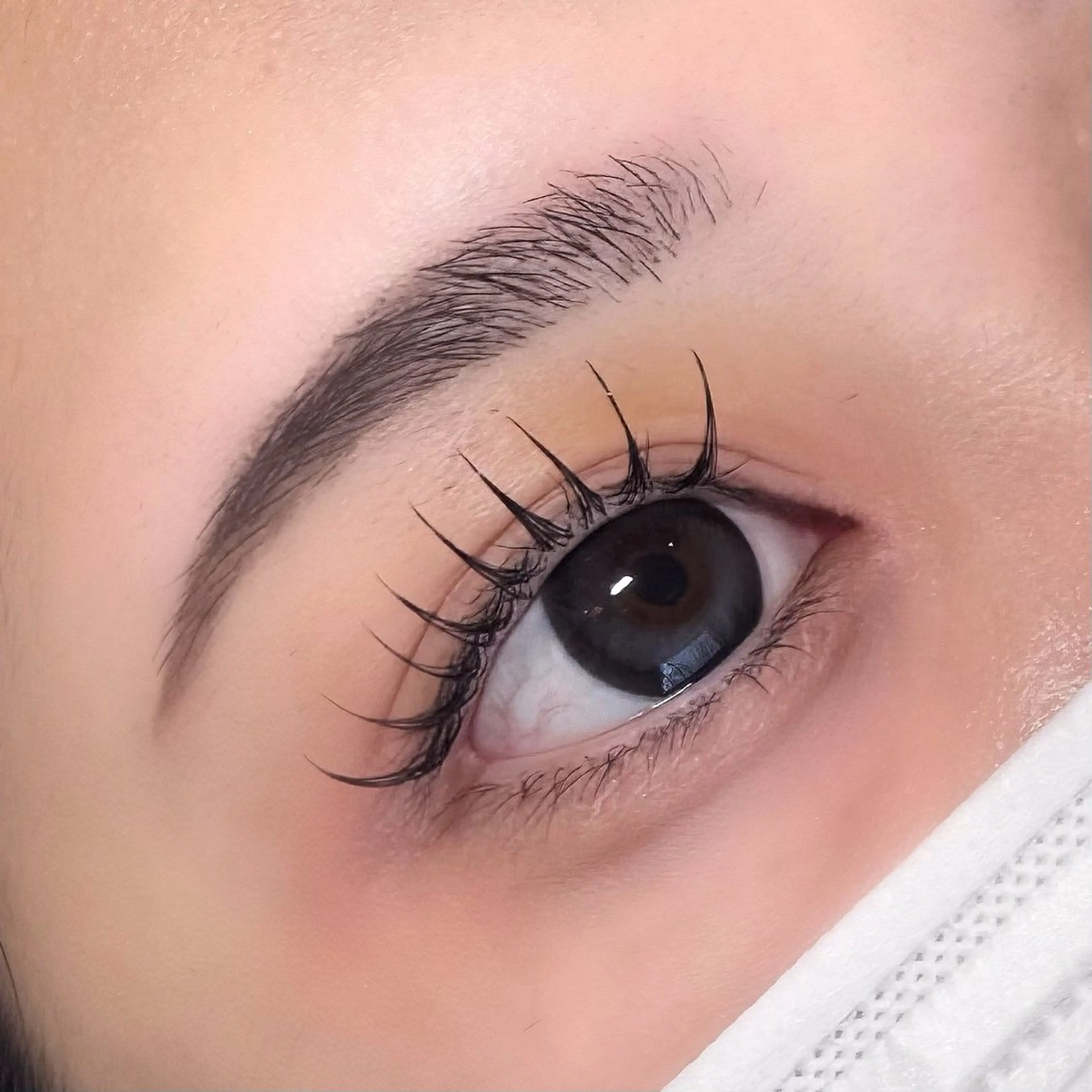 マツエク・マツパ フラットラッシュ DL・BEAUTY 🩶RISEのマツエク・マツパデザイン