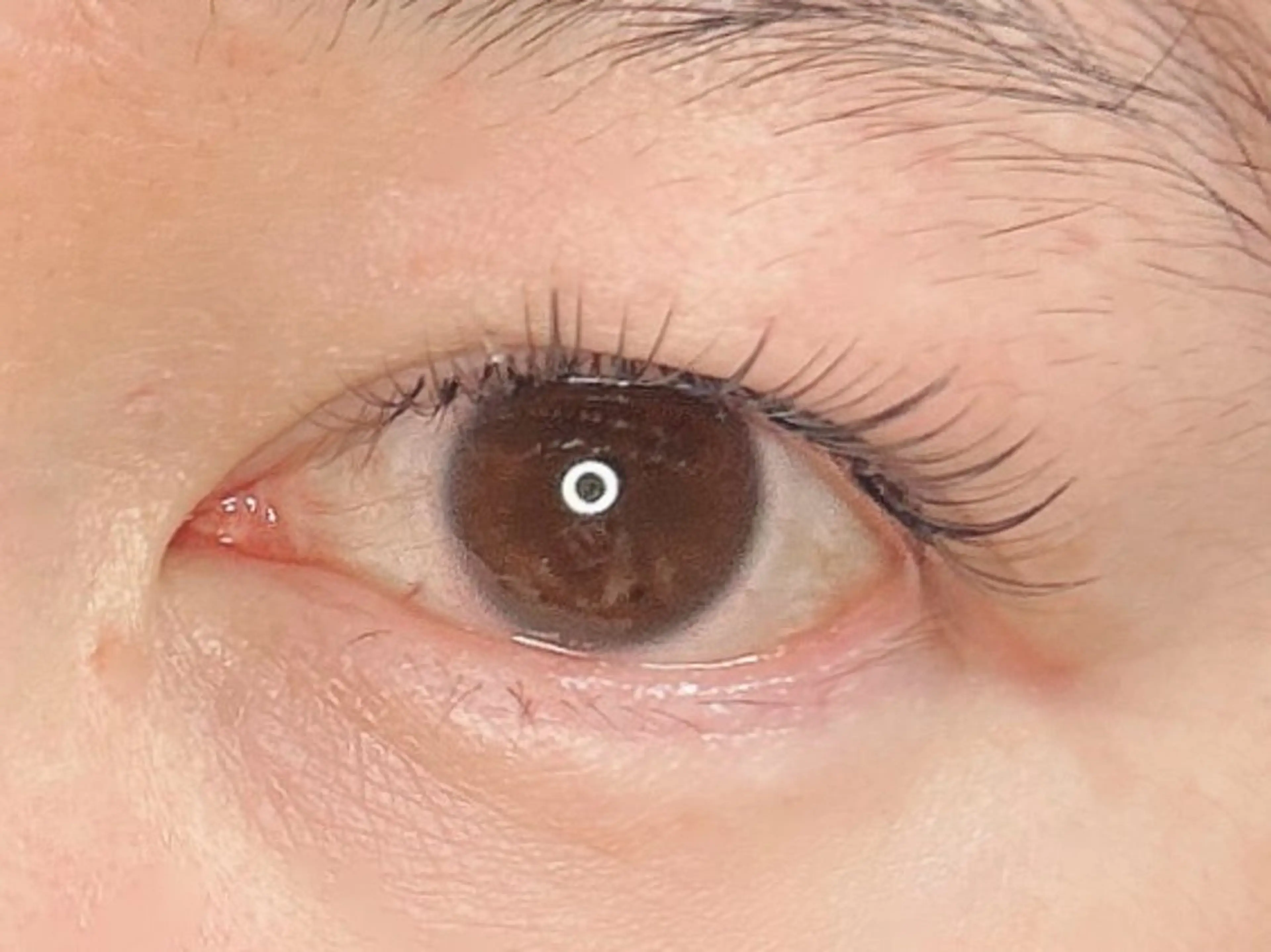 デザインキープラッシュ【DKL】 お試し90分 ～140本の仕上がり。付け足しOKの写真