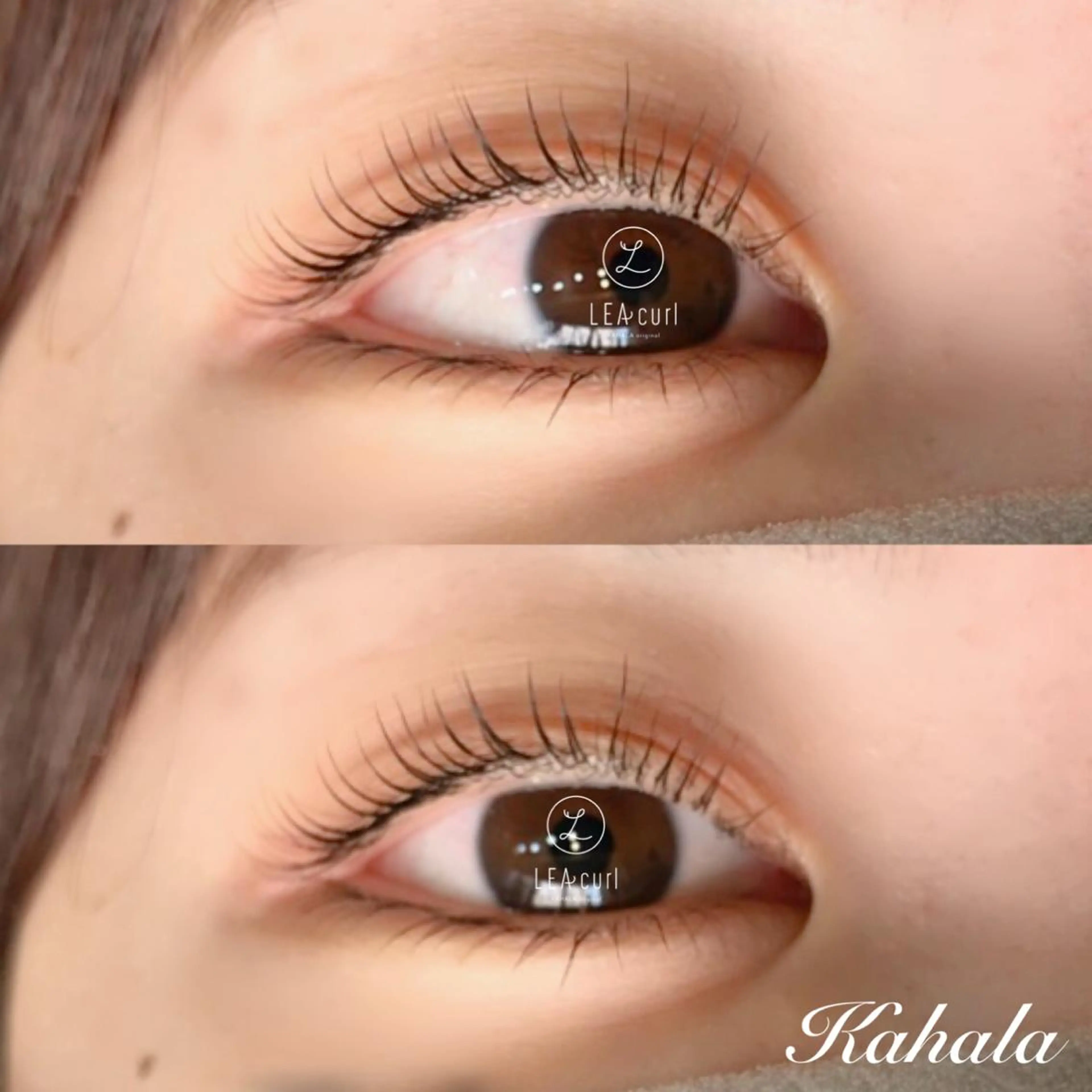 マツエク・マツパ Fujimoto 🦭⸝⋆꙳のマツエク・マツパデザイン