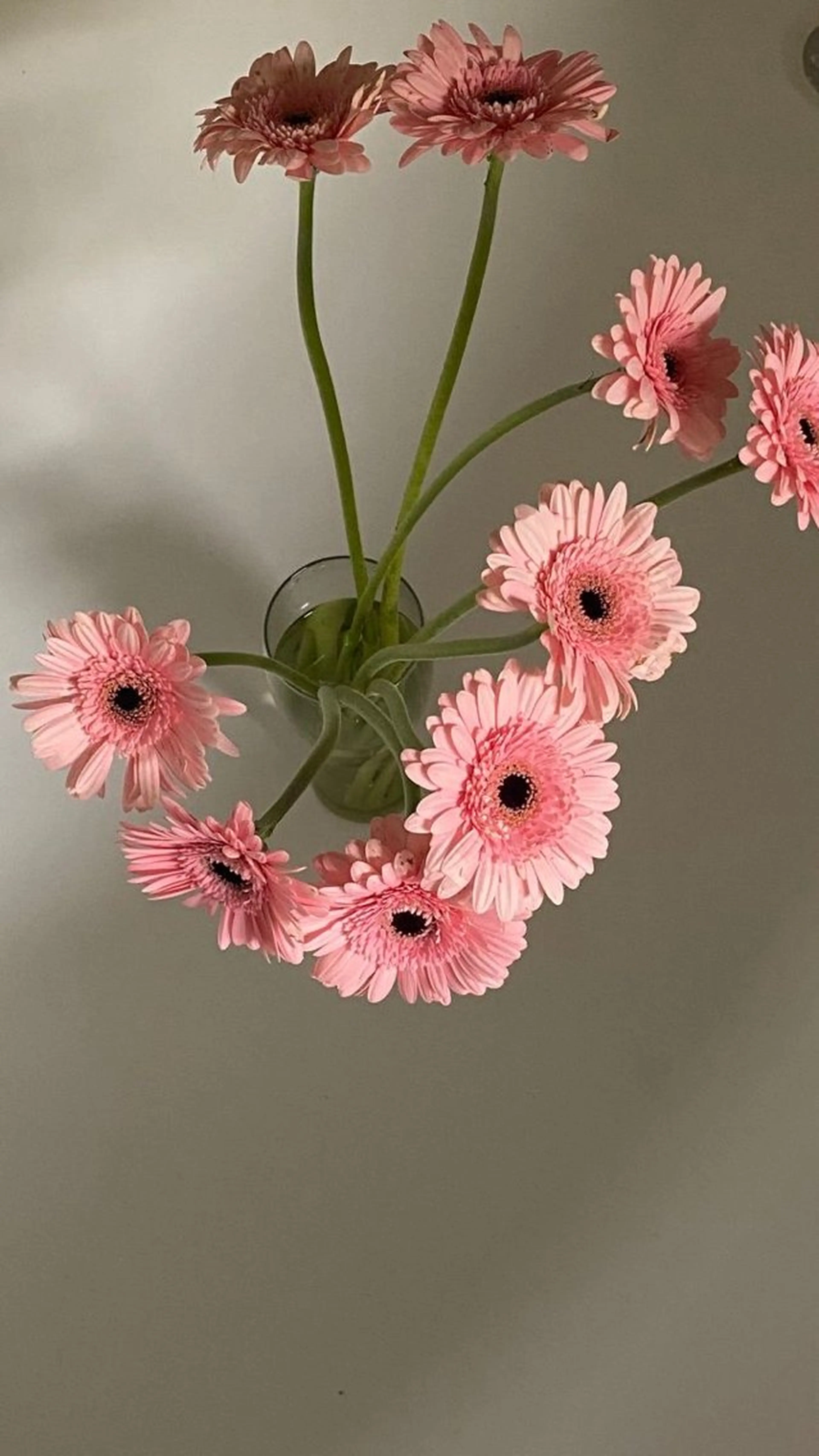 エサージュ渋谷店 suzuha🎀のマツエク・マツパデザイン