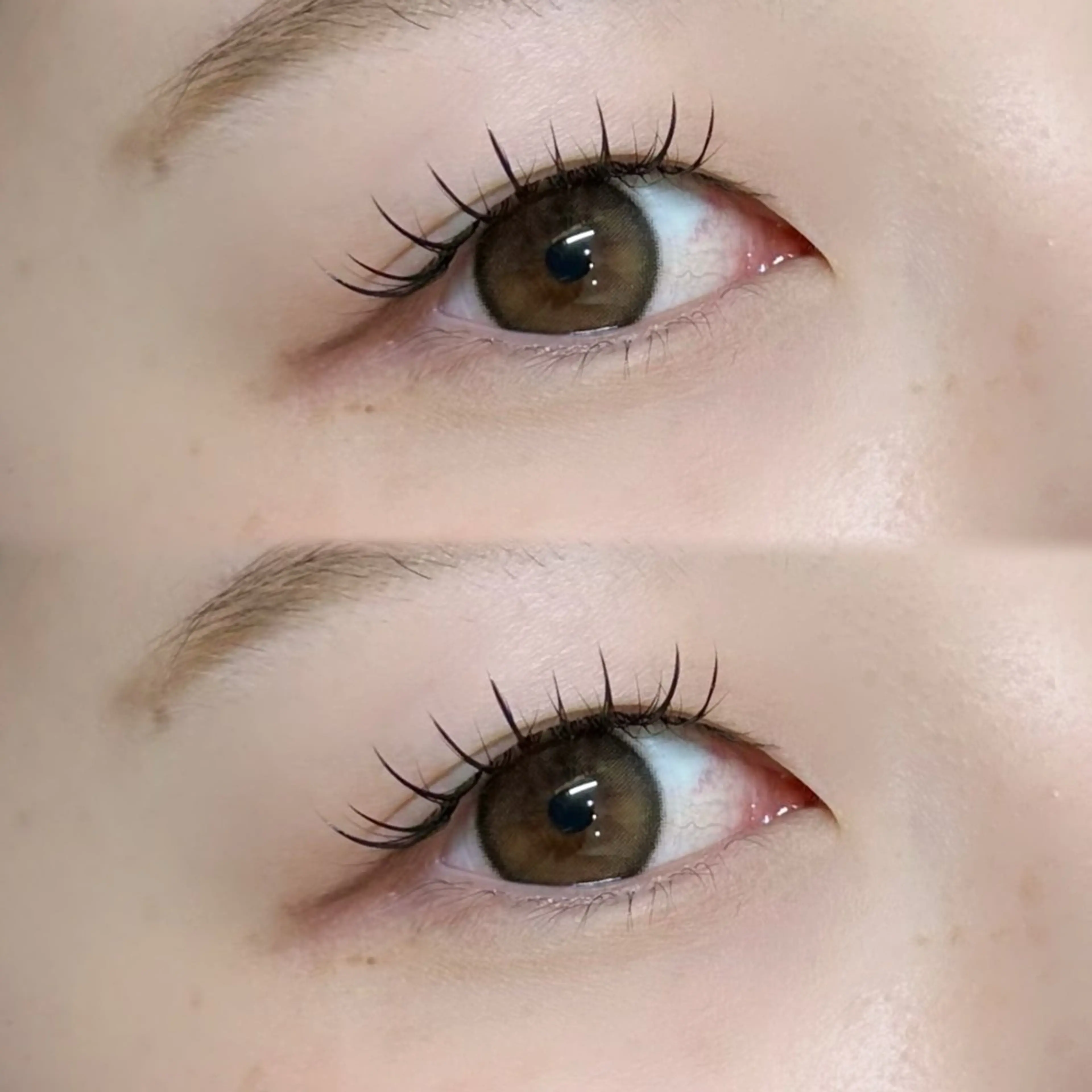 アップワードラッシュ100本 ¥5,900の写真