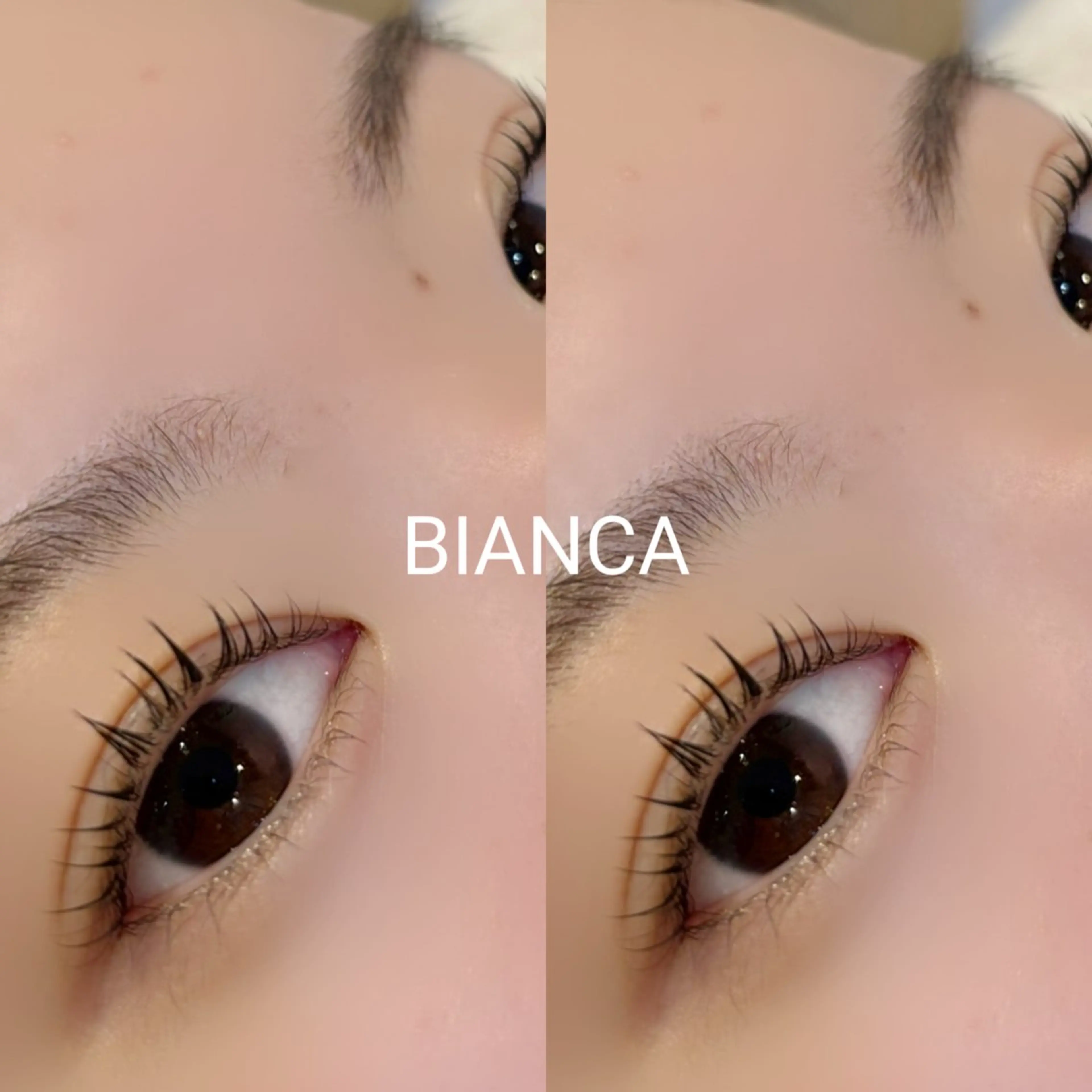 マツエク・マツパ 束感まつ毛 マツパ Bianca 名駅店 飯田のマツエク・マツパデザイン