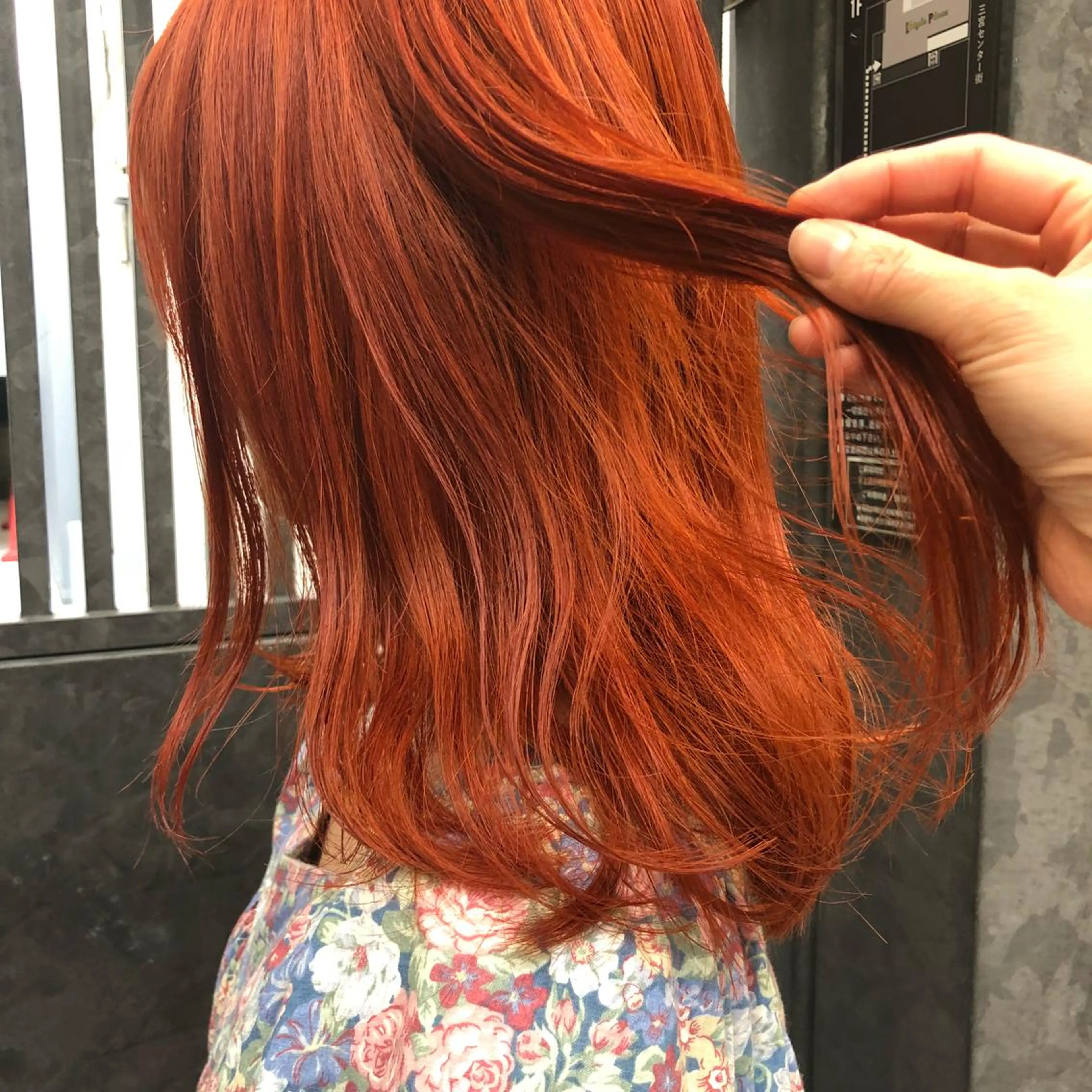 セミロング カラー ウルフカット／吉村 桃子のヘアスタイル