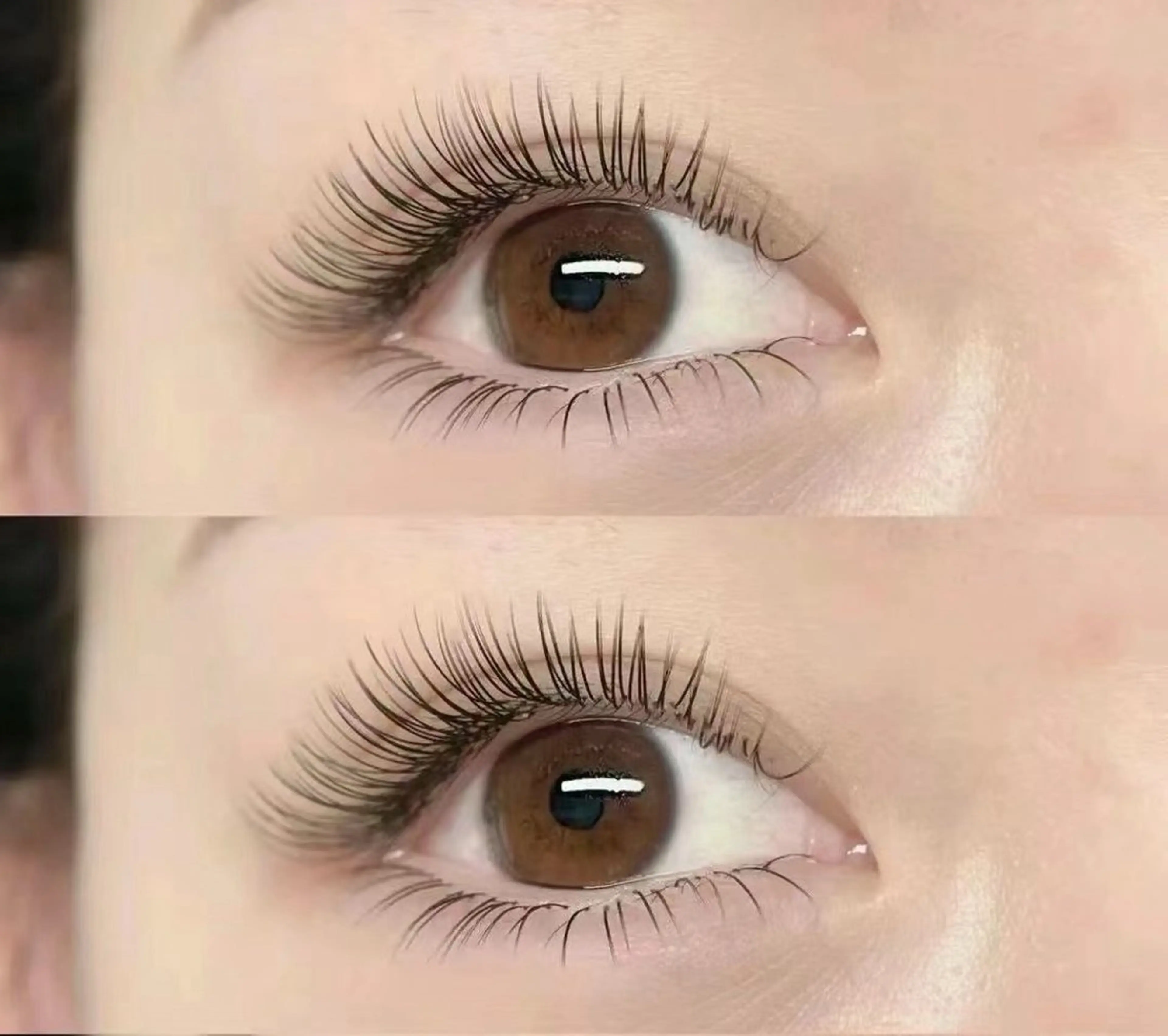 マツエク・マツパ フラットラッシュ マツエク Angenbelle Reina ♥🧸のマツエク・マツパデザイン