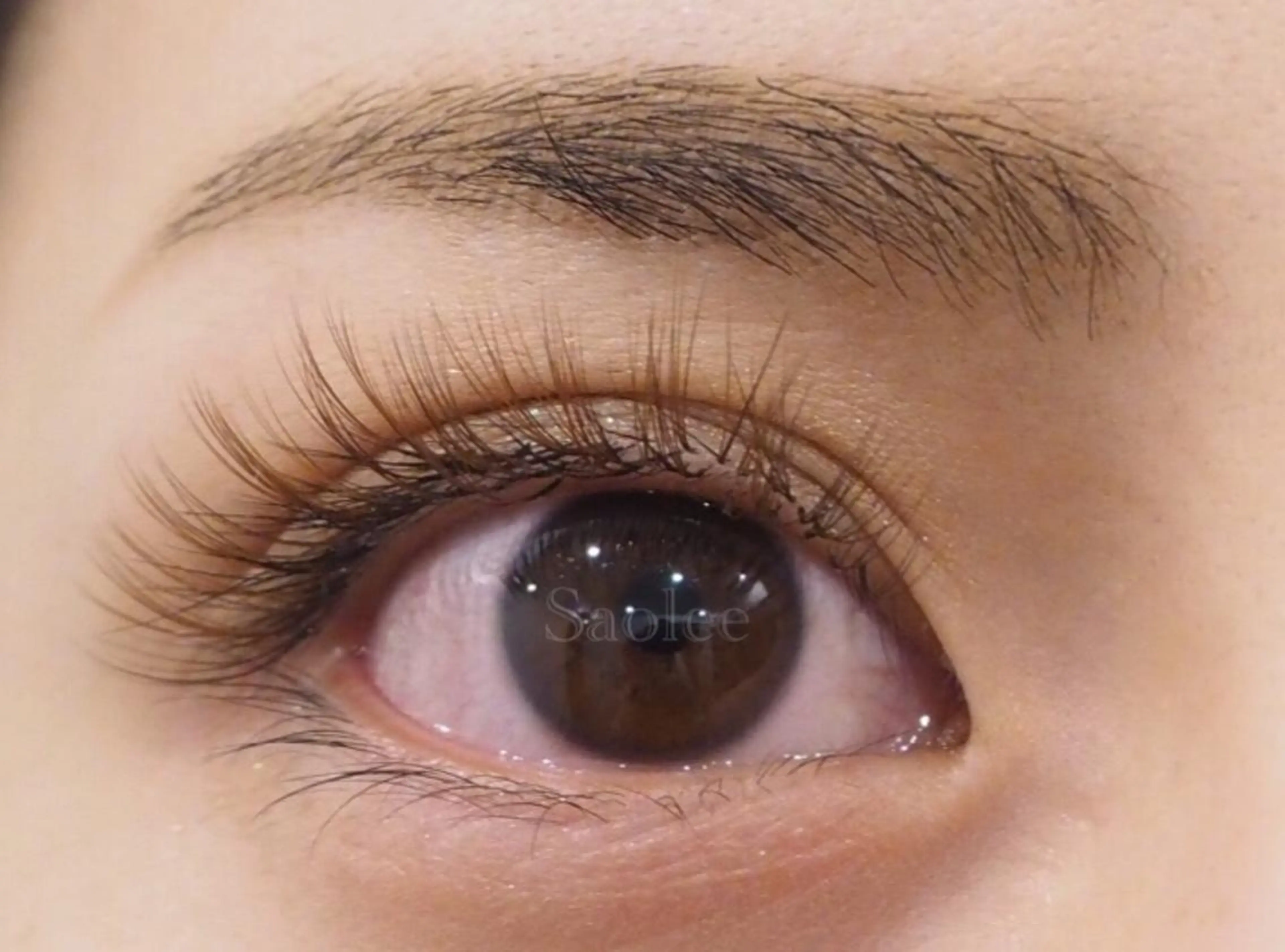 マツエク・マツパ Cカール カラーマツエク ナチュラル セクシー ボリュームラッシュ M SAORIのマツエク・マツパデザイン