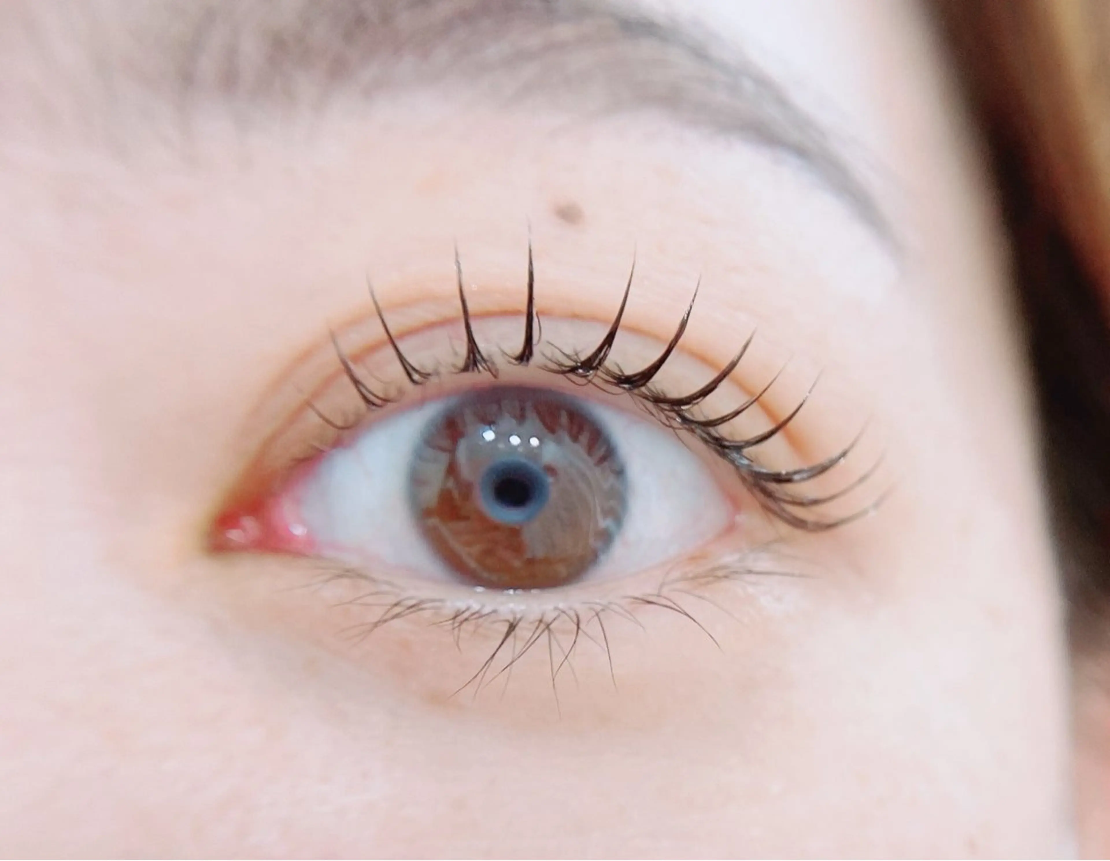 マツエク・マツパ マツパ Rabbit hagaのマツエク・マツパデザイン