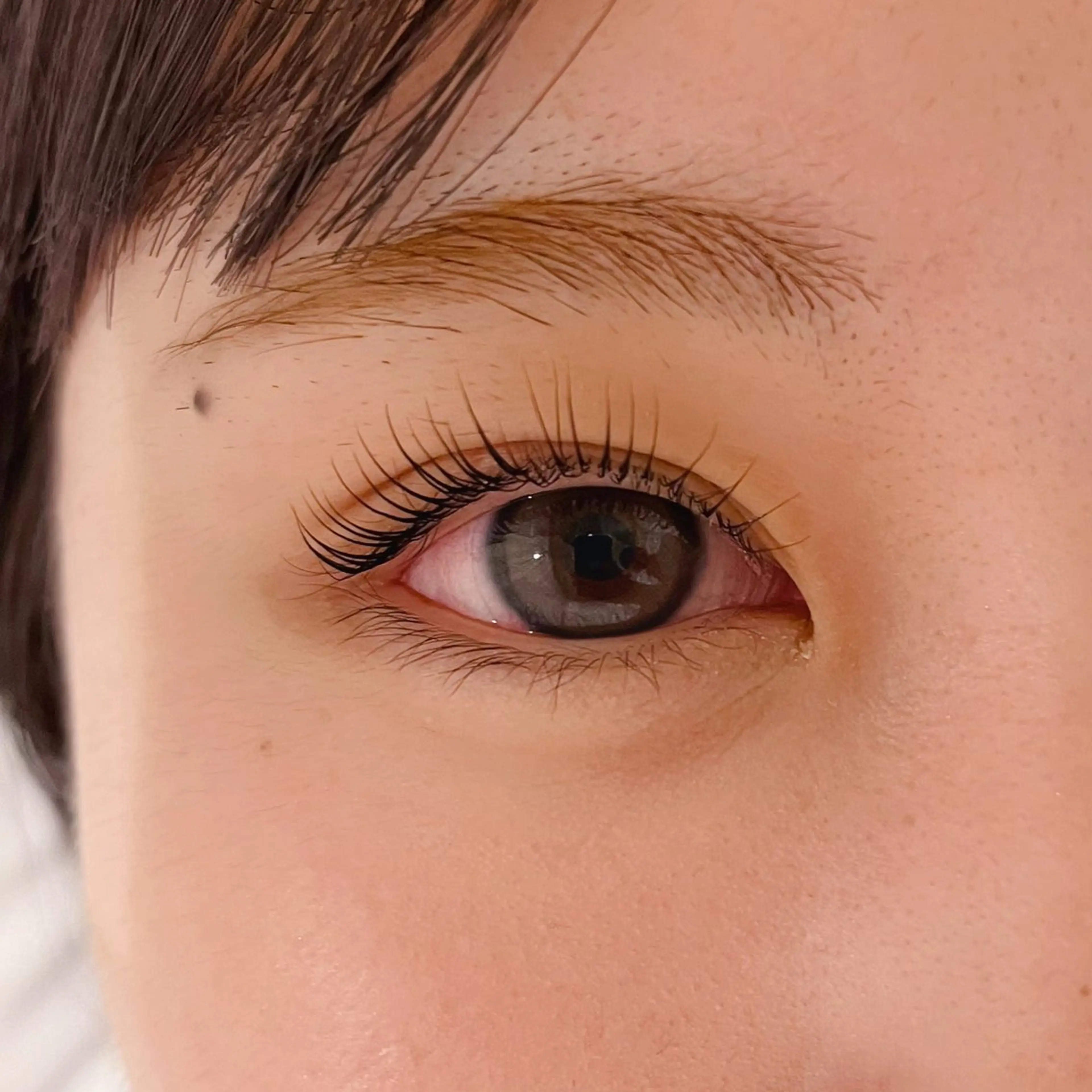 マツエク・マツパ 韓国風マツエク パリジェンヌラッシュリフト マツパ charme TOMOYOのマツエク・マツパデザイン