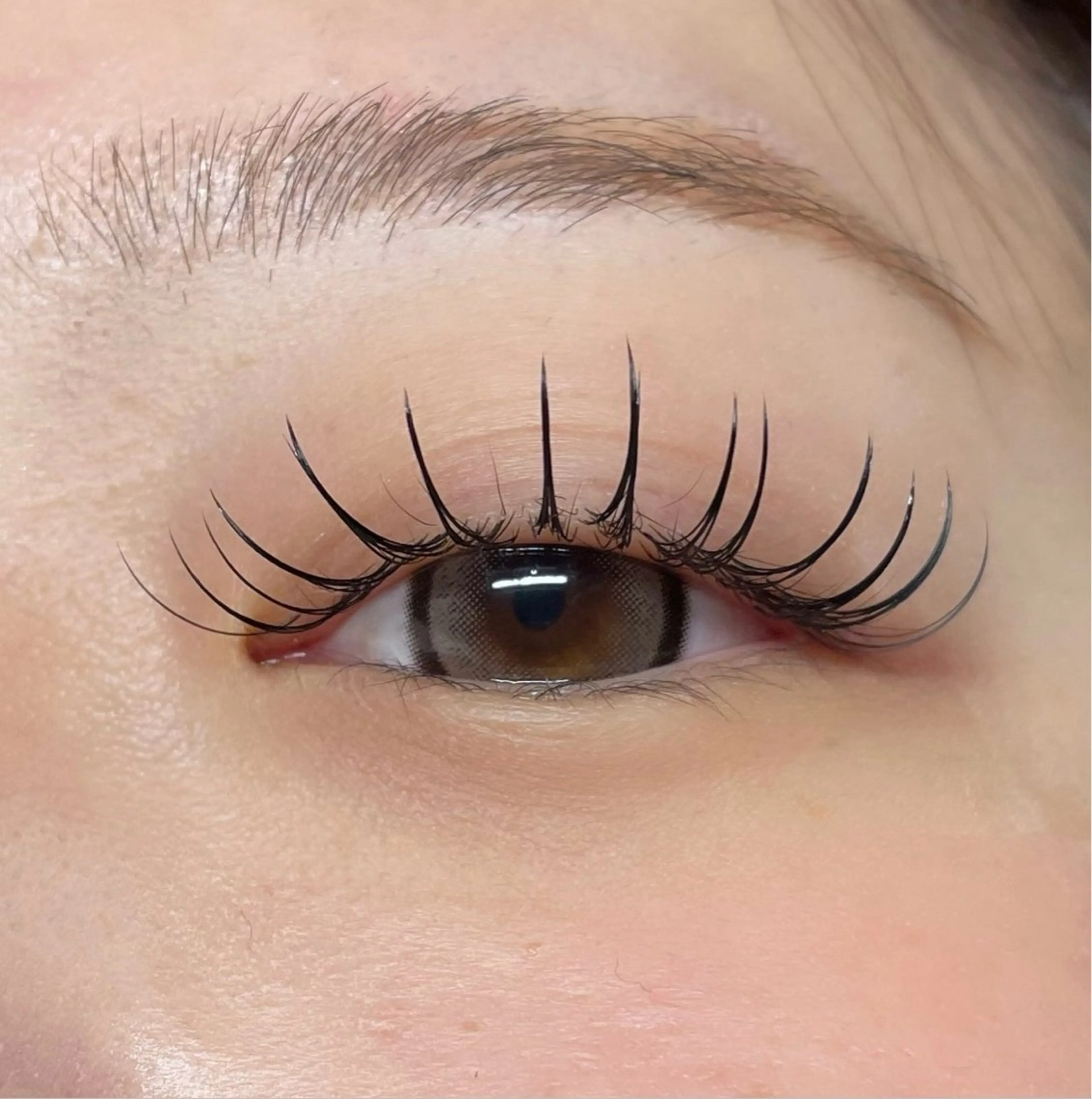 フラットラッシュつけ放題の写真