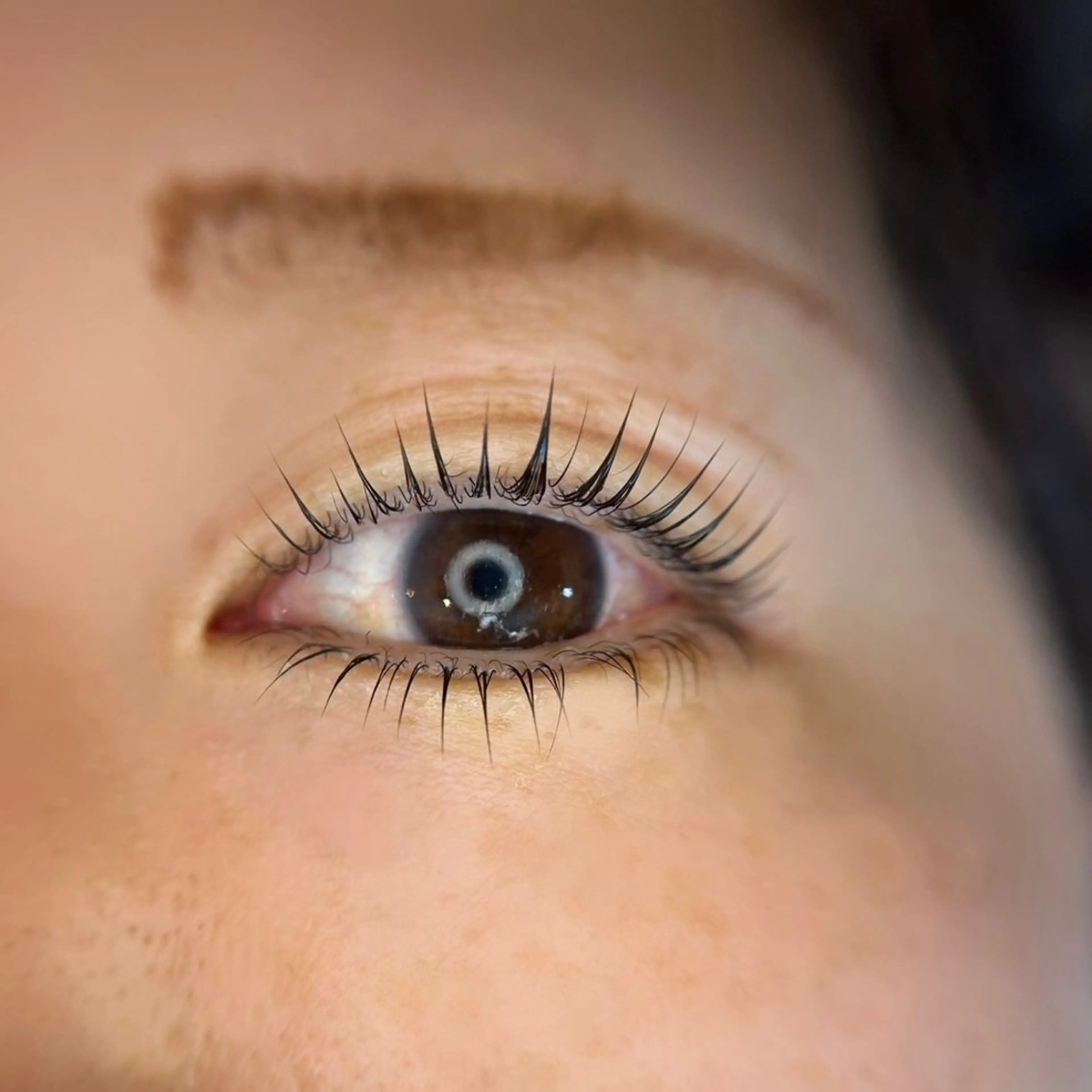 マツエク・マツパ Butterfly 平塚店   横山のマツエク・マツパデザイン
