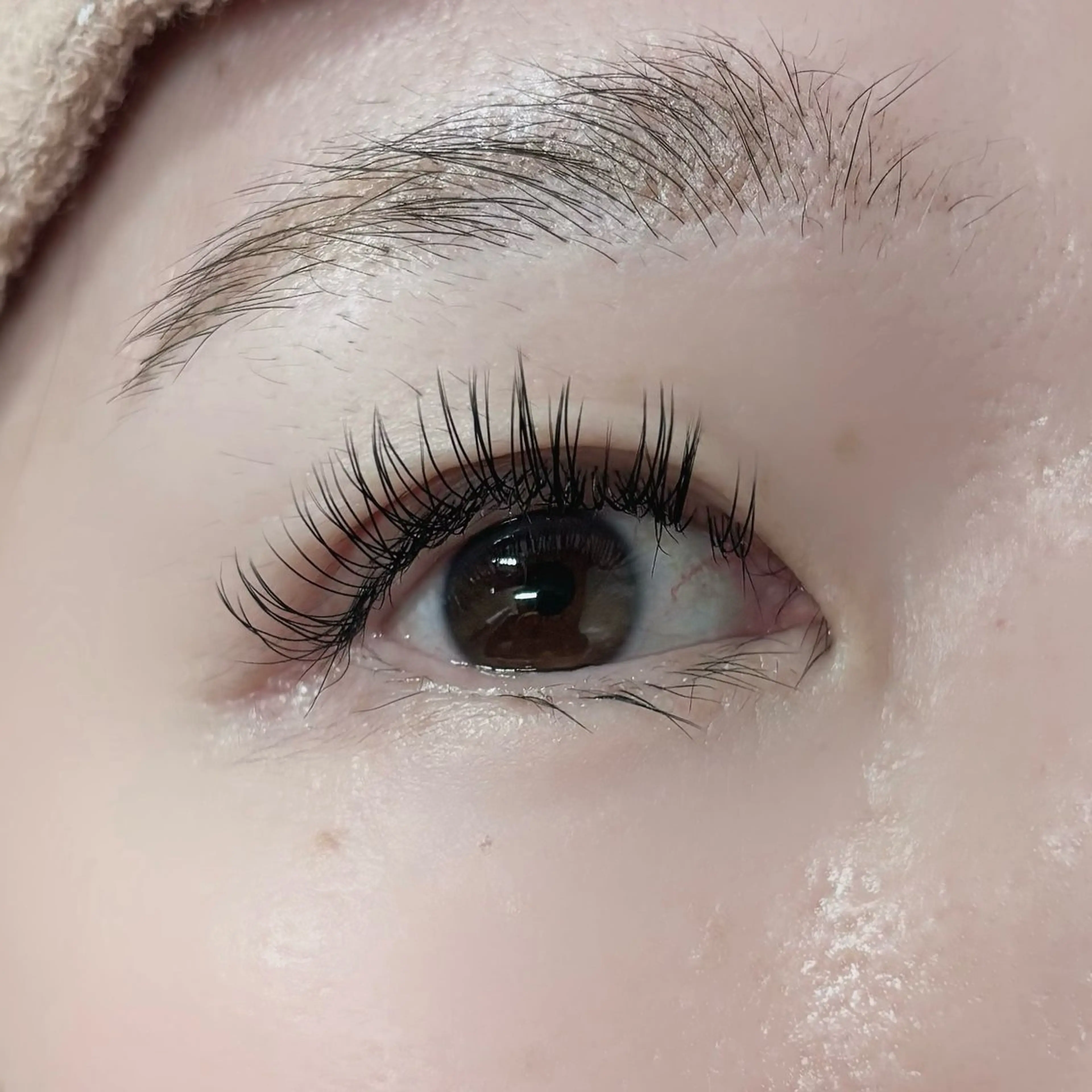 【平日限定12/10迄】LEDエクステ💡シングル130本モデル🧡　※リクエスト予約のみの受付になっておりますの写真