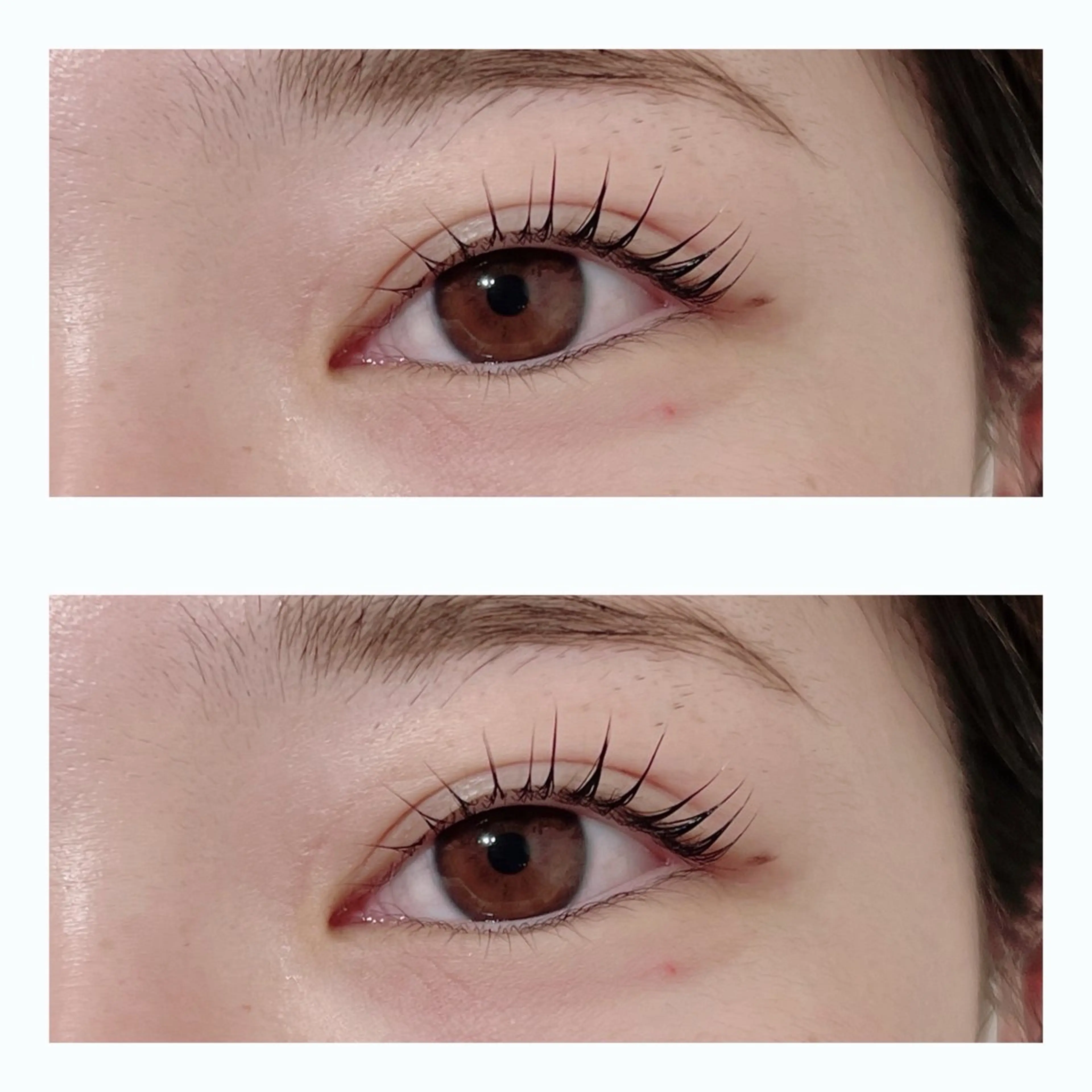 マツエク・マツパ マツパ Biolus／天王寺 本店 🔸YUI🔸のマツエク・マツパデザイン