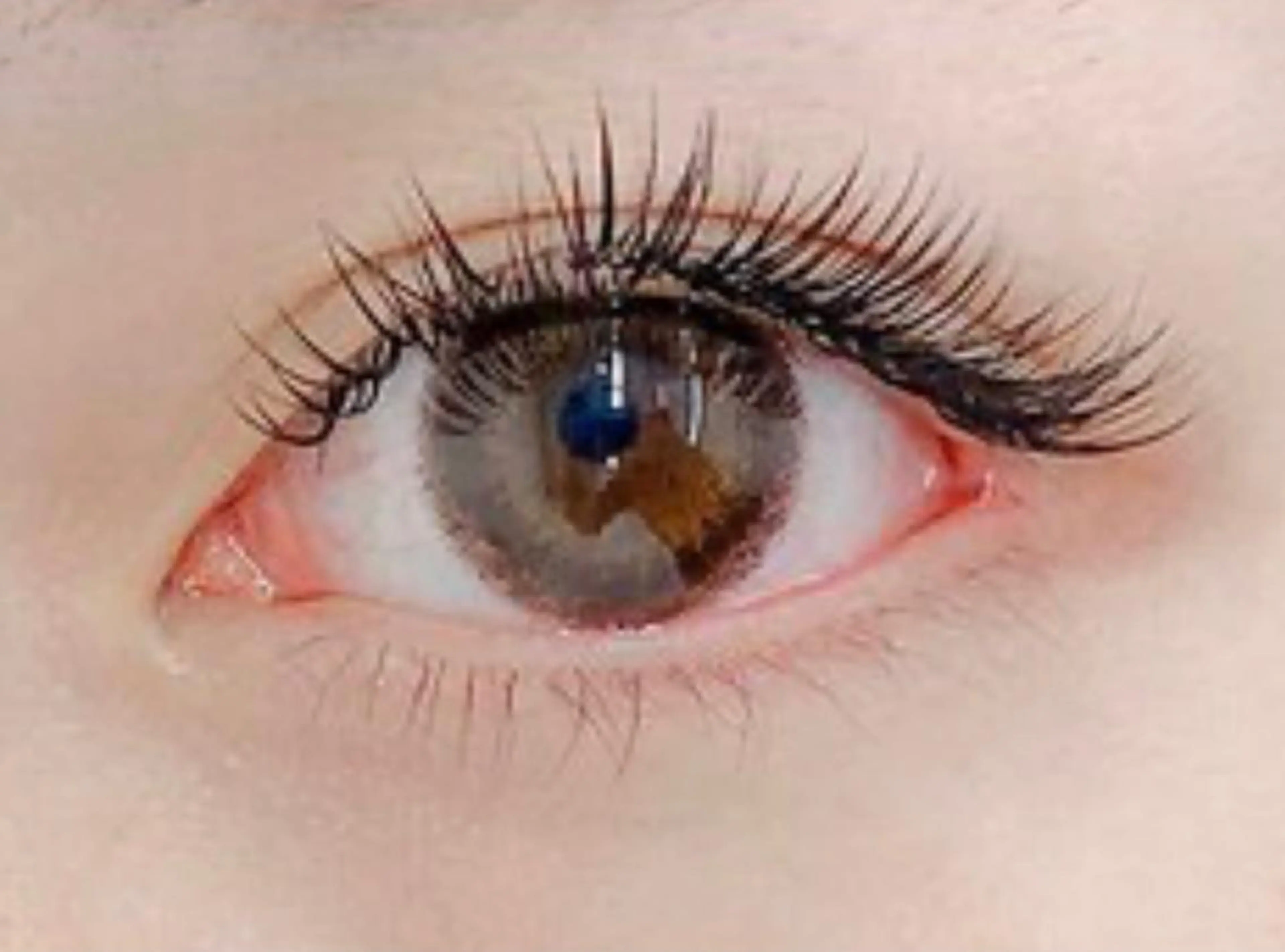 マツエク・マツパ MAQUIAいわき店 佐藤のマツエク・マツパデザイン