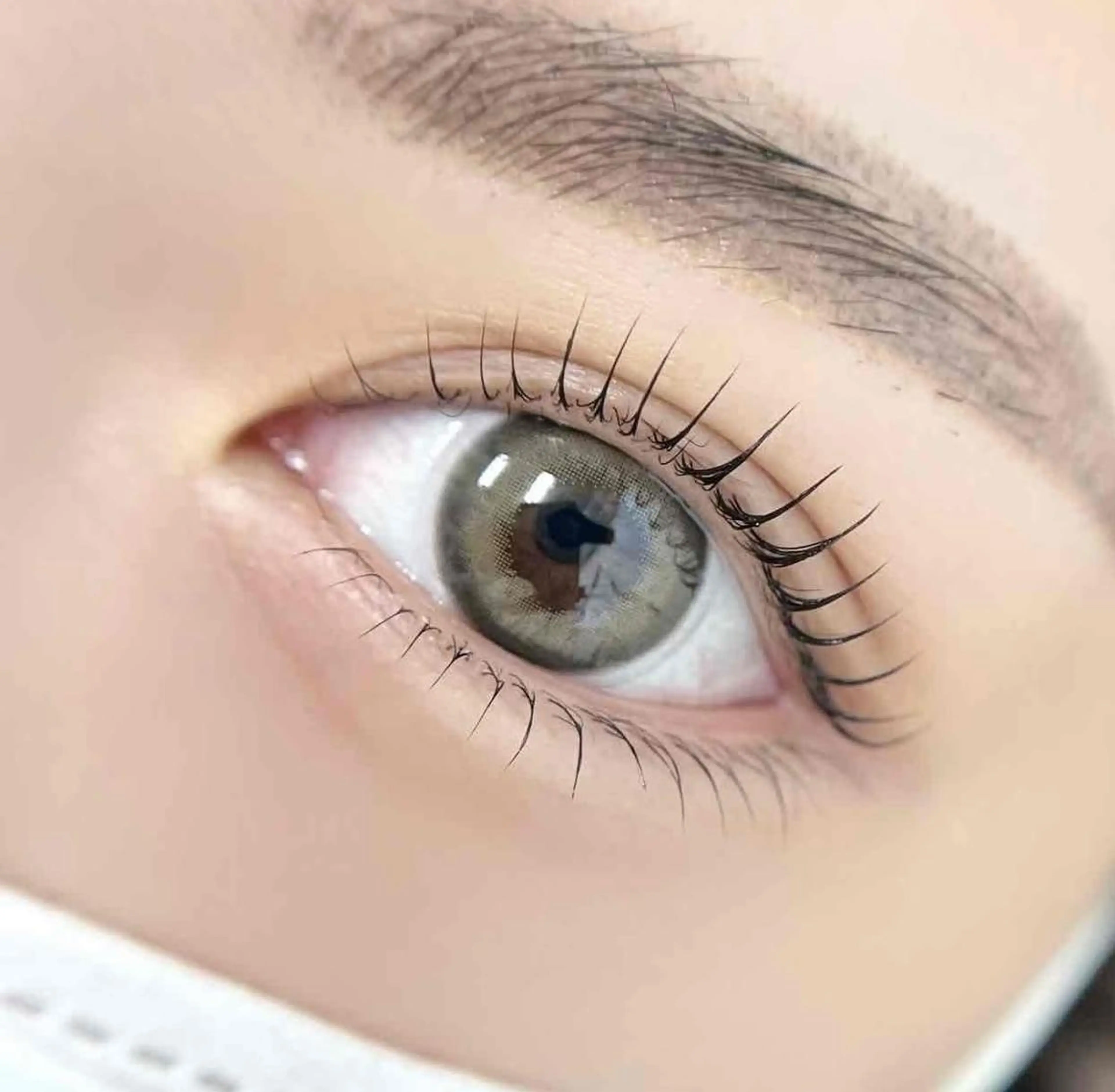 マツエク・マツパ パリジェンヌラッシュリフト 鈴木 桃子🌷のマツエク・マツパデザイン