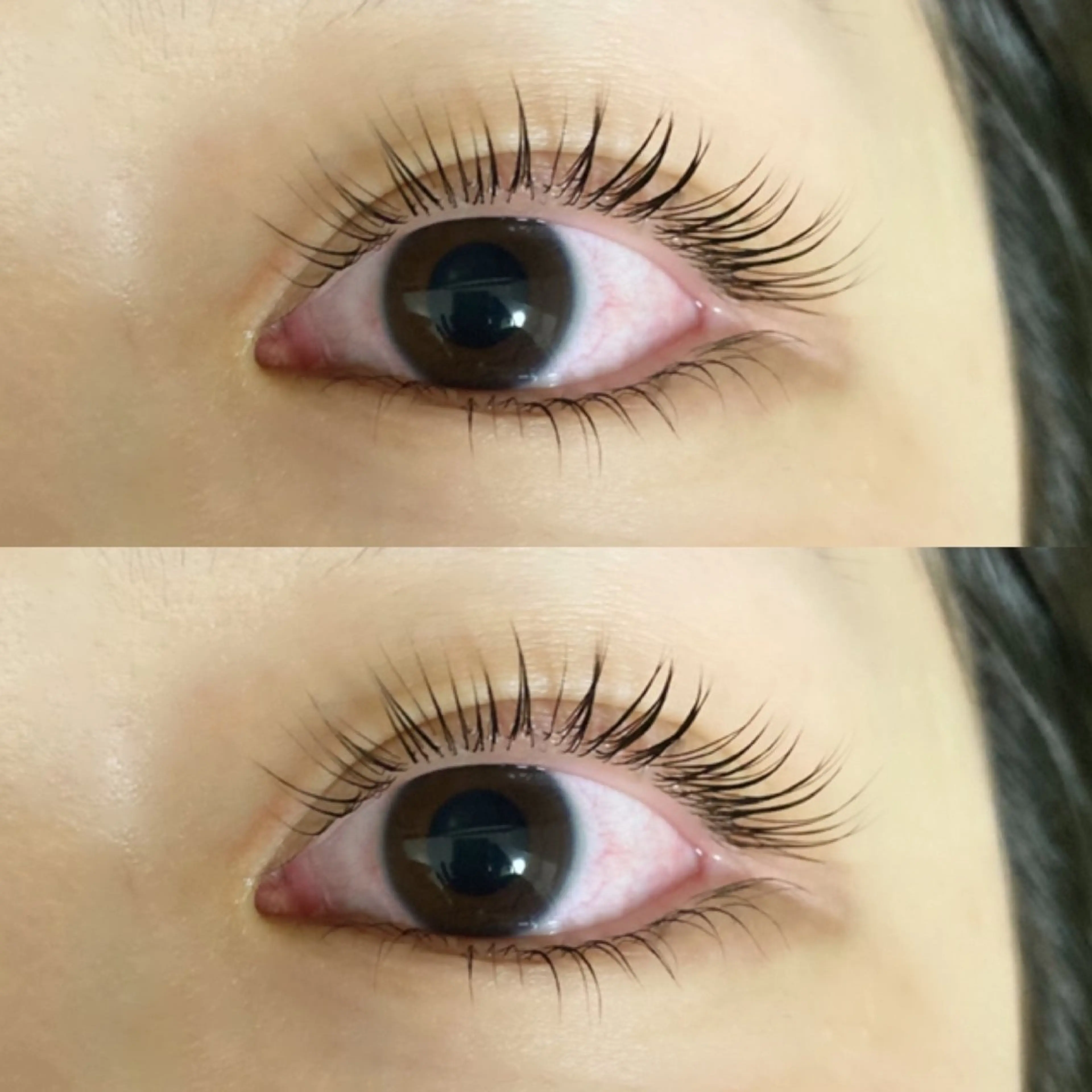 【カウンセリング/ケア/潤いトリートメント/コーティング込】ラッシュリフト下（まつ毛パーマ）の写真