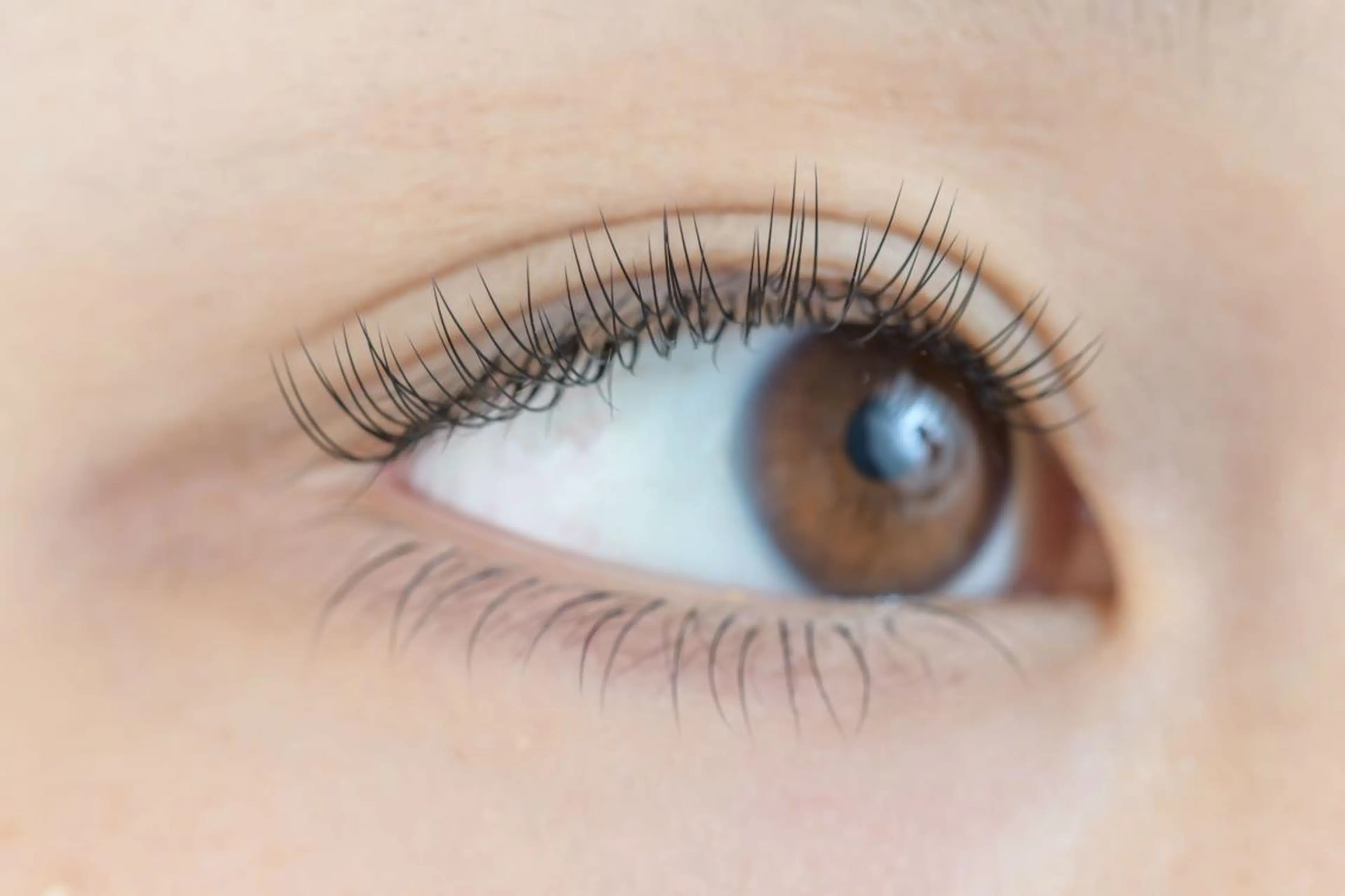 マツエク・マツパ セーブル アイサロン フェア 海老名店のマツエク・マツパデザイン