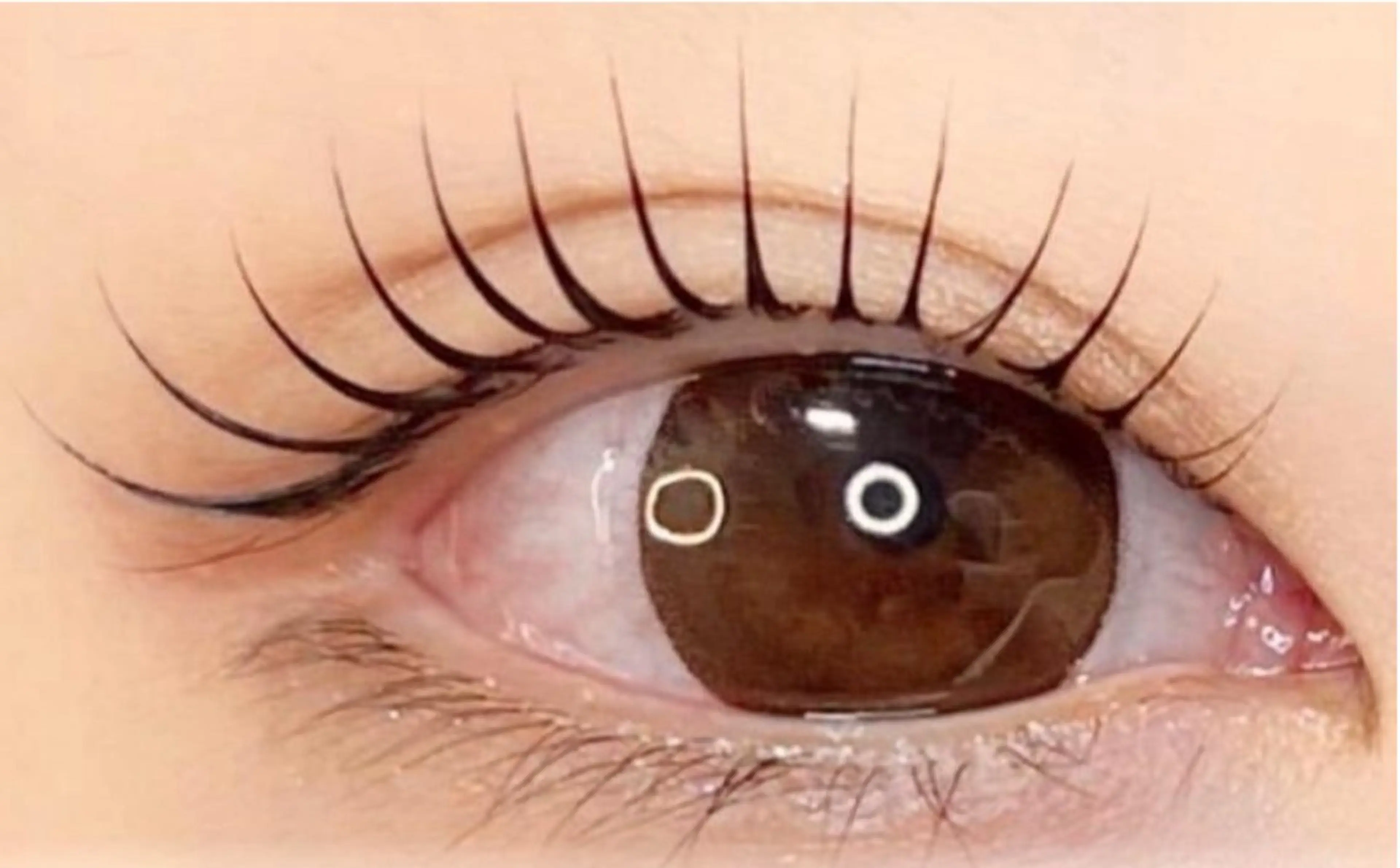 マツエク・マツパ 【マリーテレジア】 TAKITAのマツエク・マツパデザイン