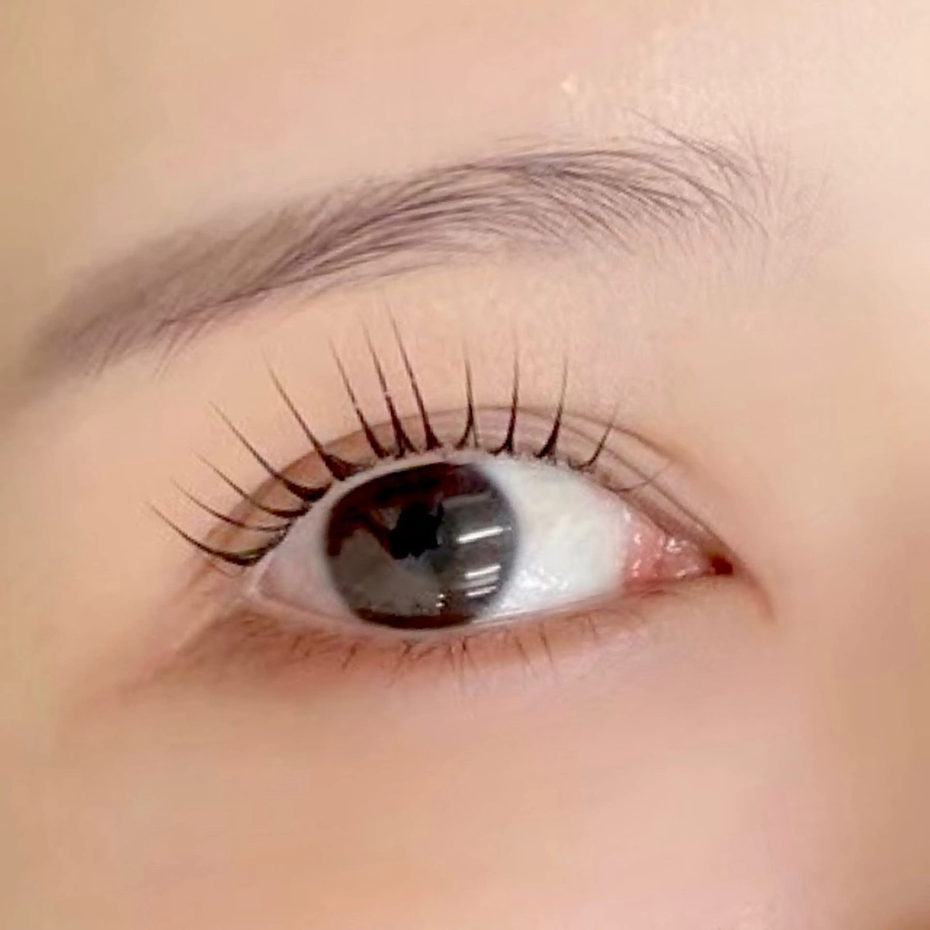 マツエク・マツパ ジュエル.《まつげ》 モデル様募集中のマツエク・マツパデザイン