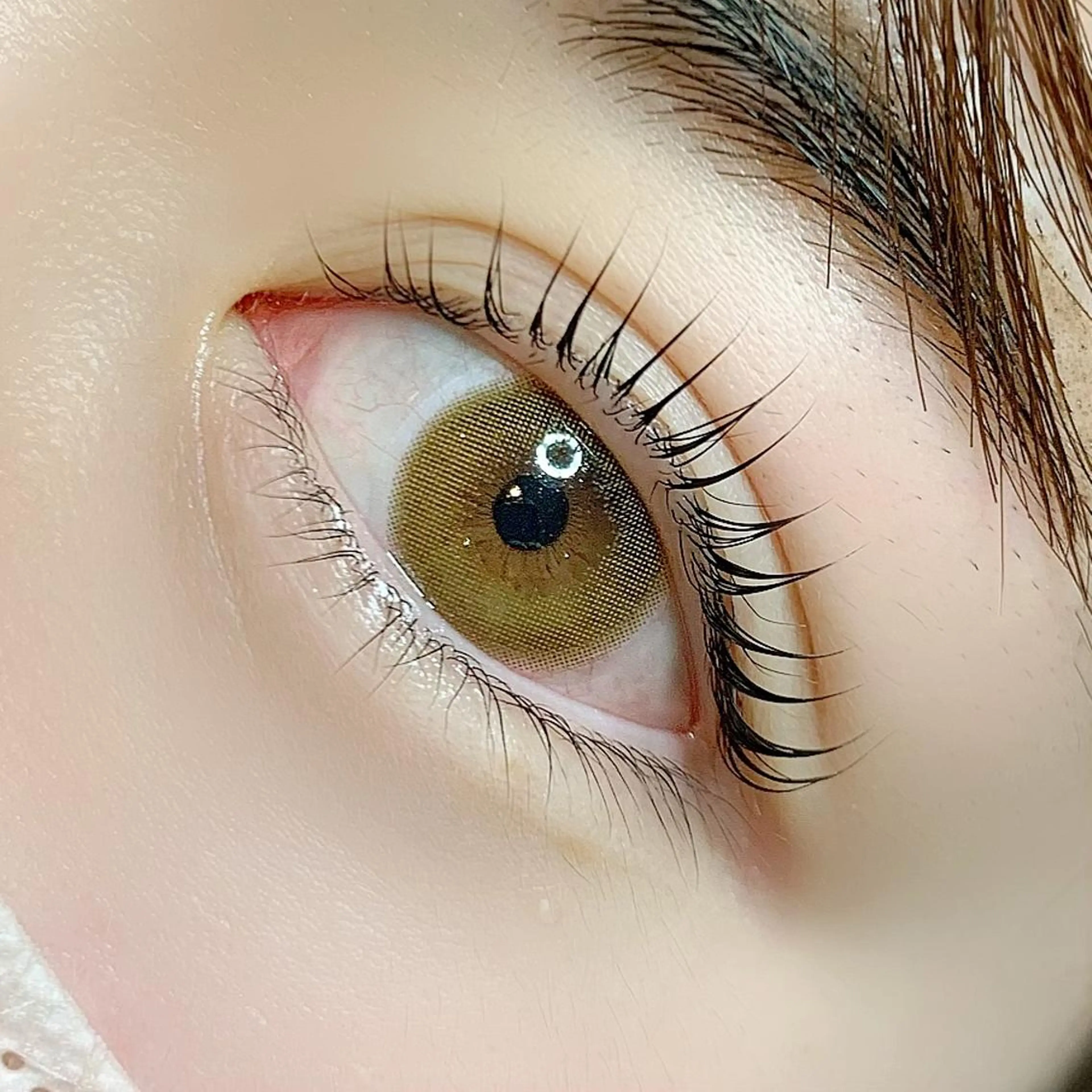 マツエク・マツパ まつげパーマ AYLASH石川 韓国風/カラエクのマツエク・マツパデザイン