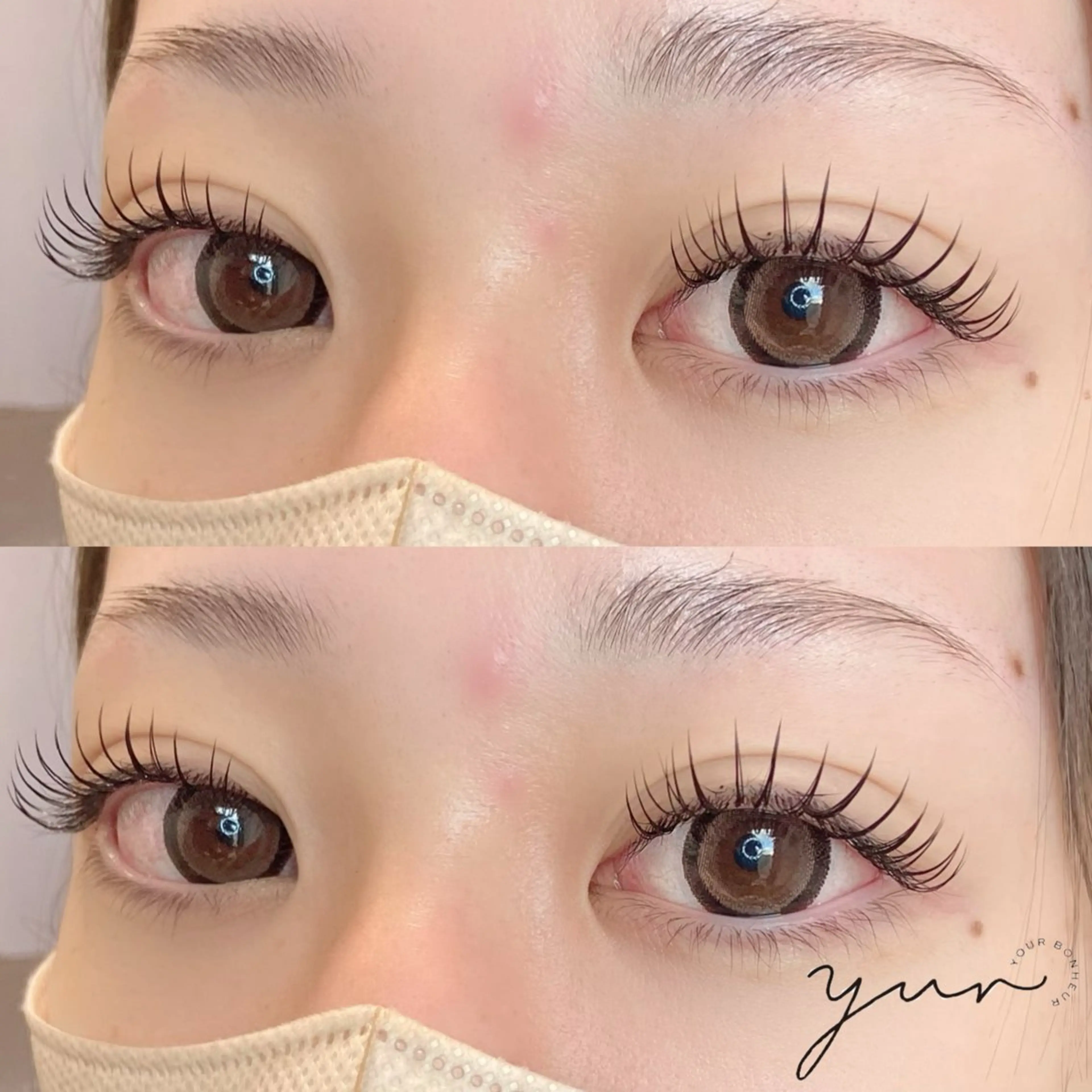 フラットマットラッシュ120本の写真