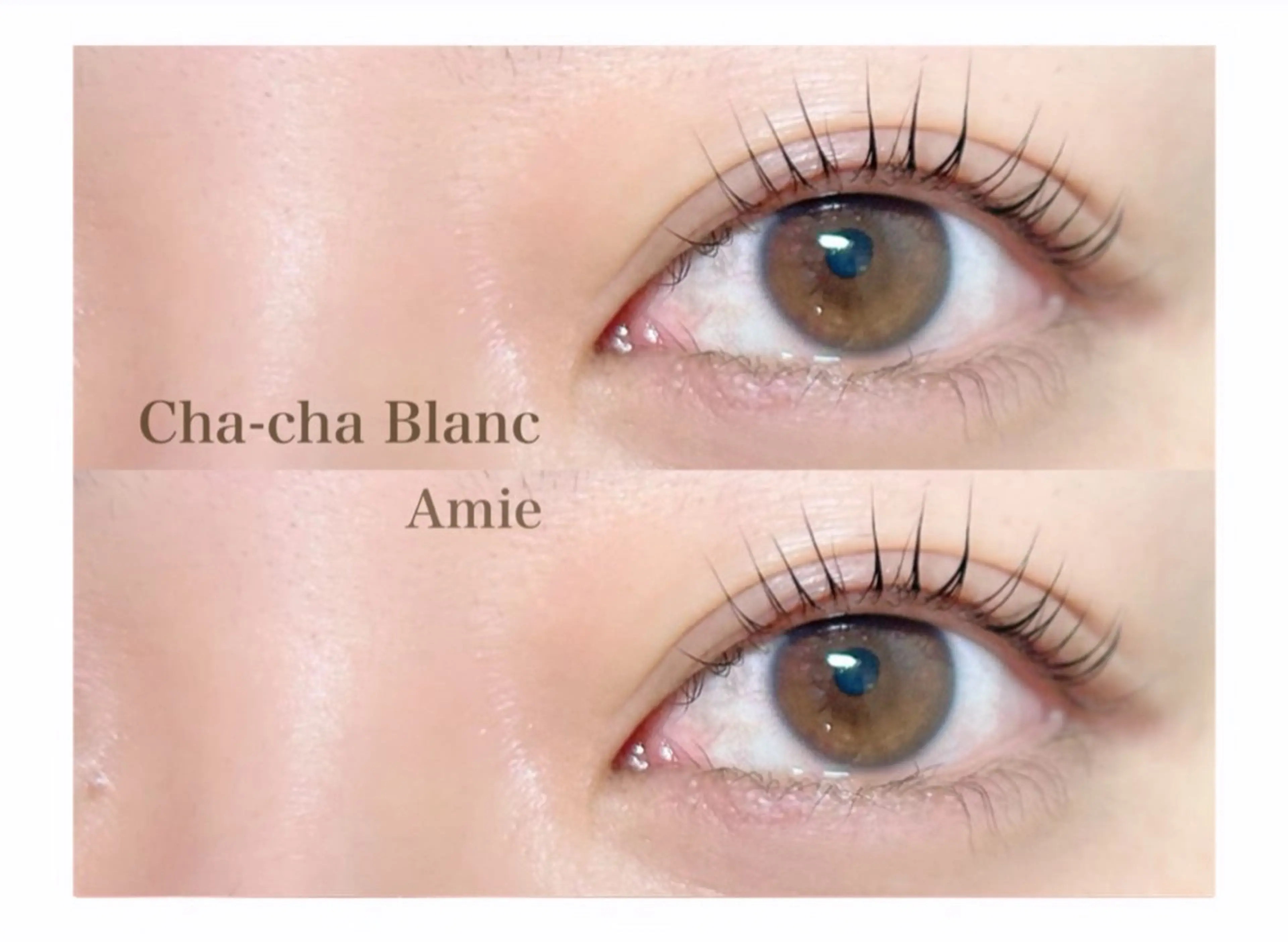 マツエク・マツパ マツパ chacha bla nc Amie 沖田のマツエク・マツパデザイン