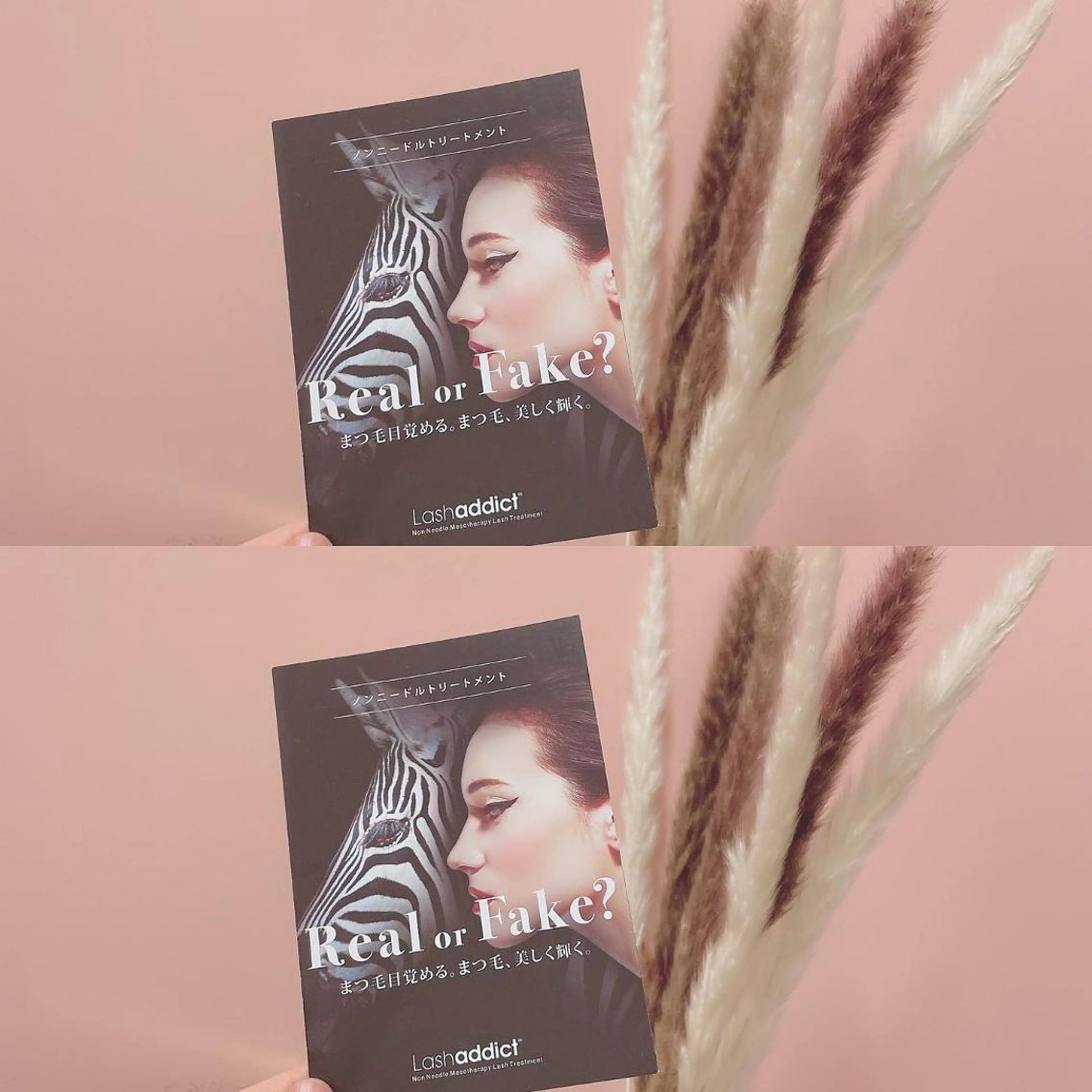 マツエク・マツパ フラットラッシュ パリジェンヌラッシュリフト まつげパーマ 下まつげエクステ 一重×まつ毛パーマ Mon mignonのマツエク・マツパデザイン