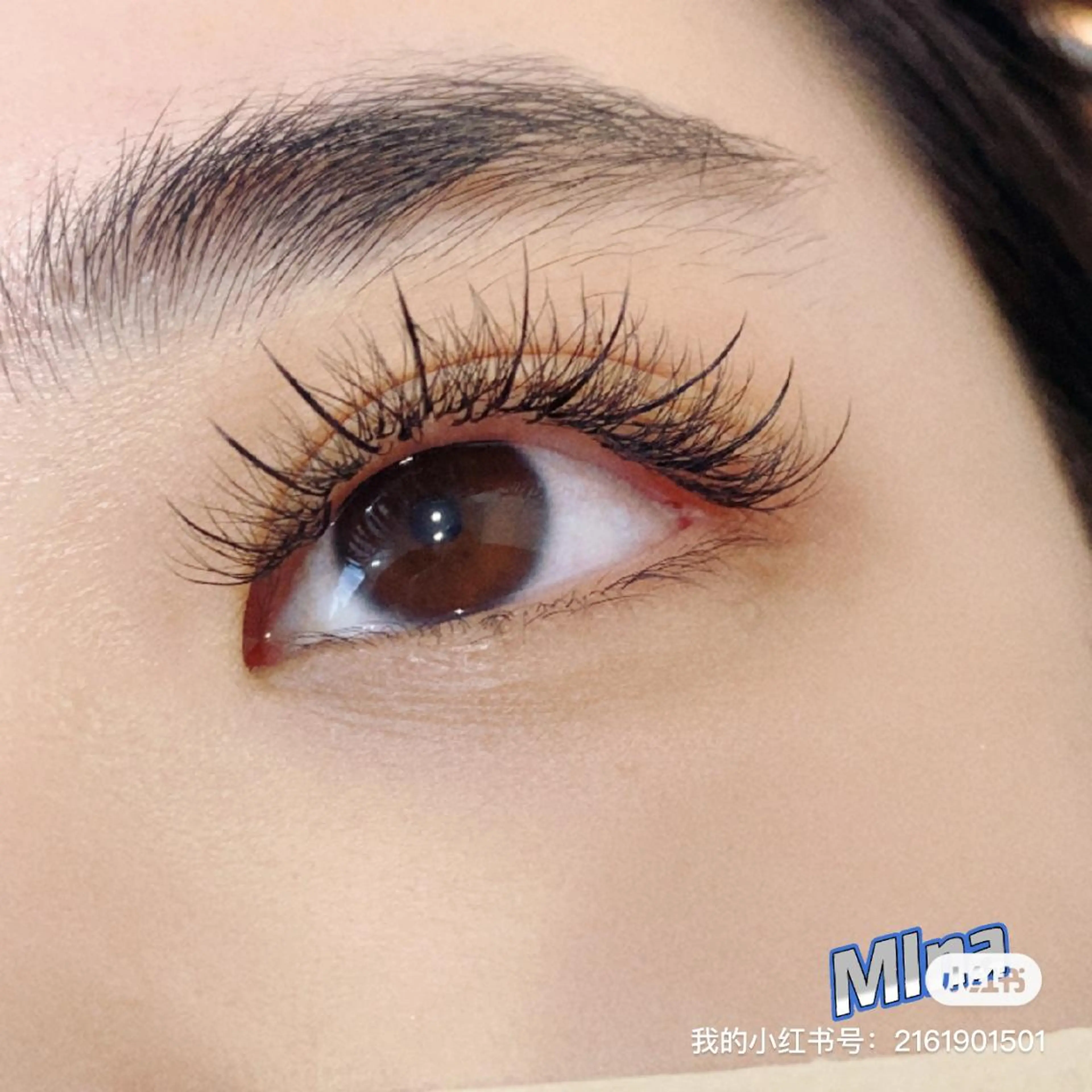 マツエク・マツパ マツエク 晴 海のマツエク・マツパデザイン