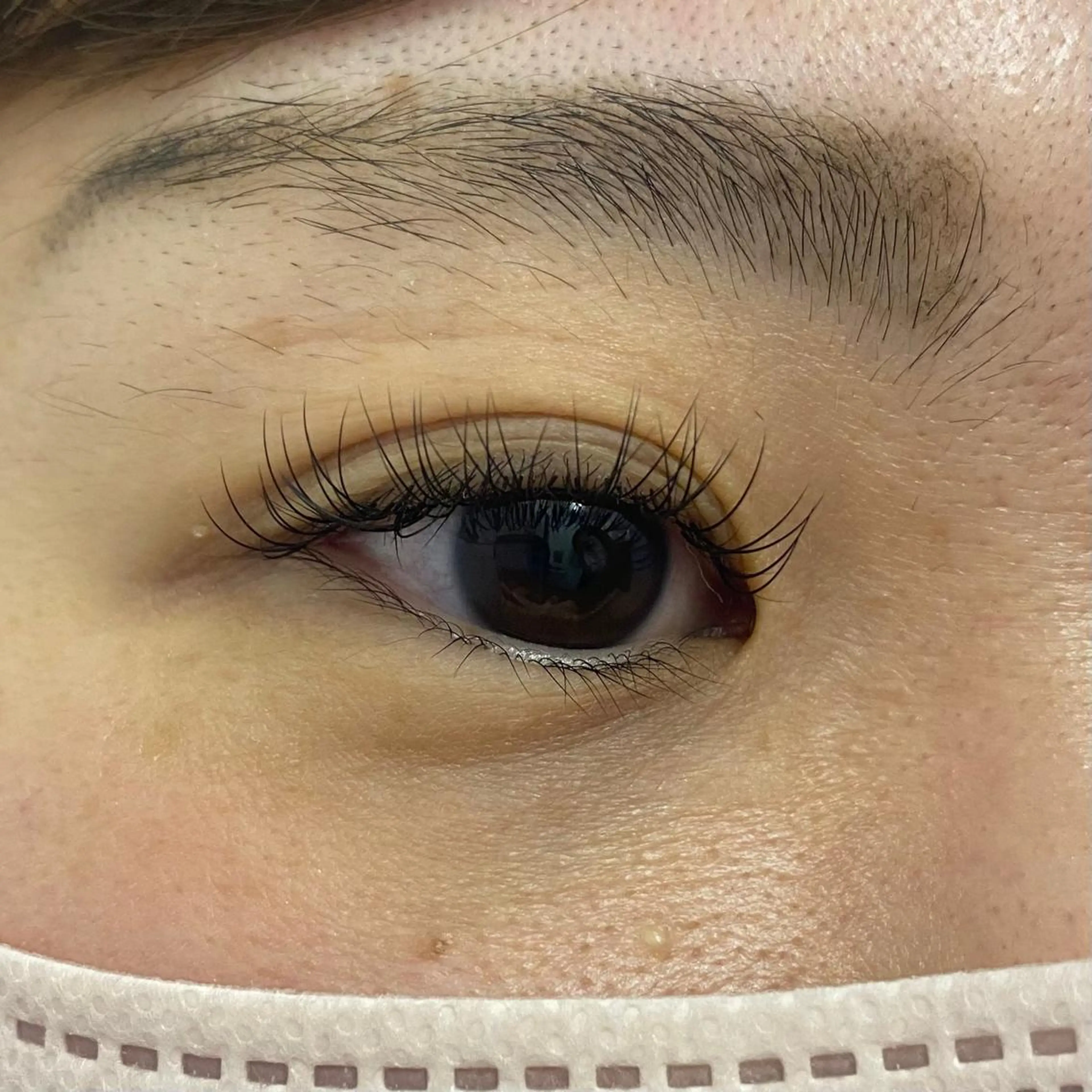 マツエク・マツパ Cカール Dカール Miyu🦄ash メンズカット/まつげのヘアスタイル