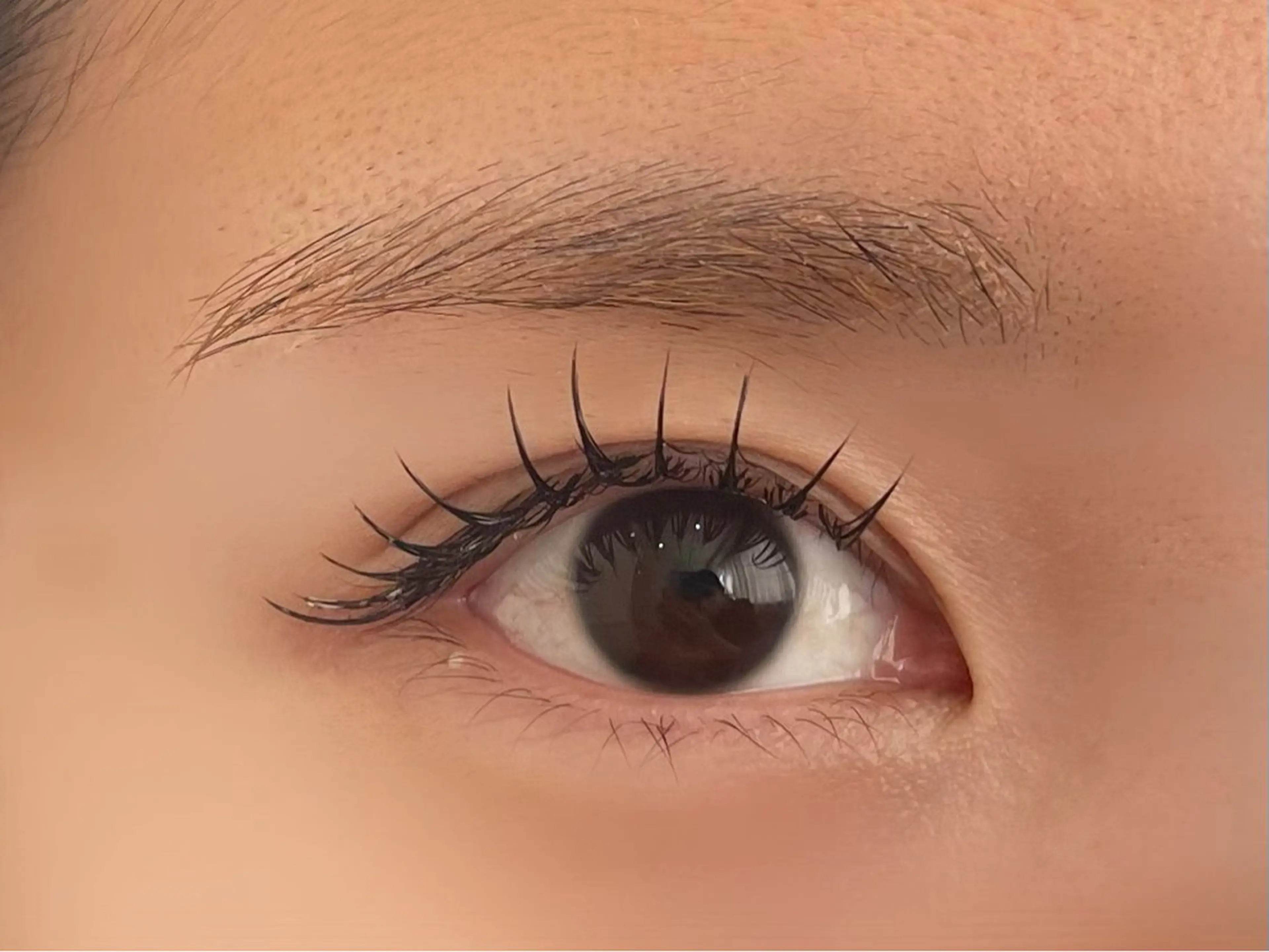 マツエク・マツパ フラットラッシュ 山脇🐋🤍 アンジェリカ錦糸町のマツエク・マツパデザイン