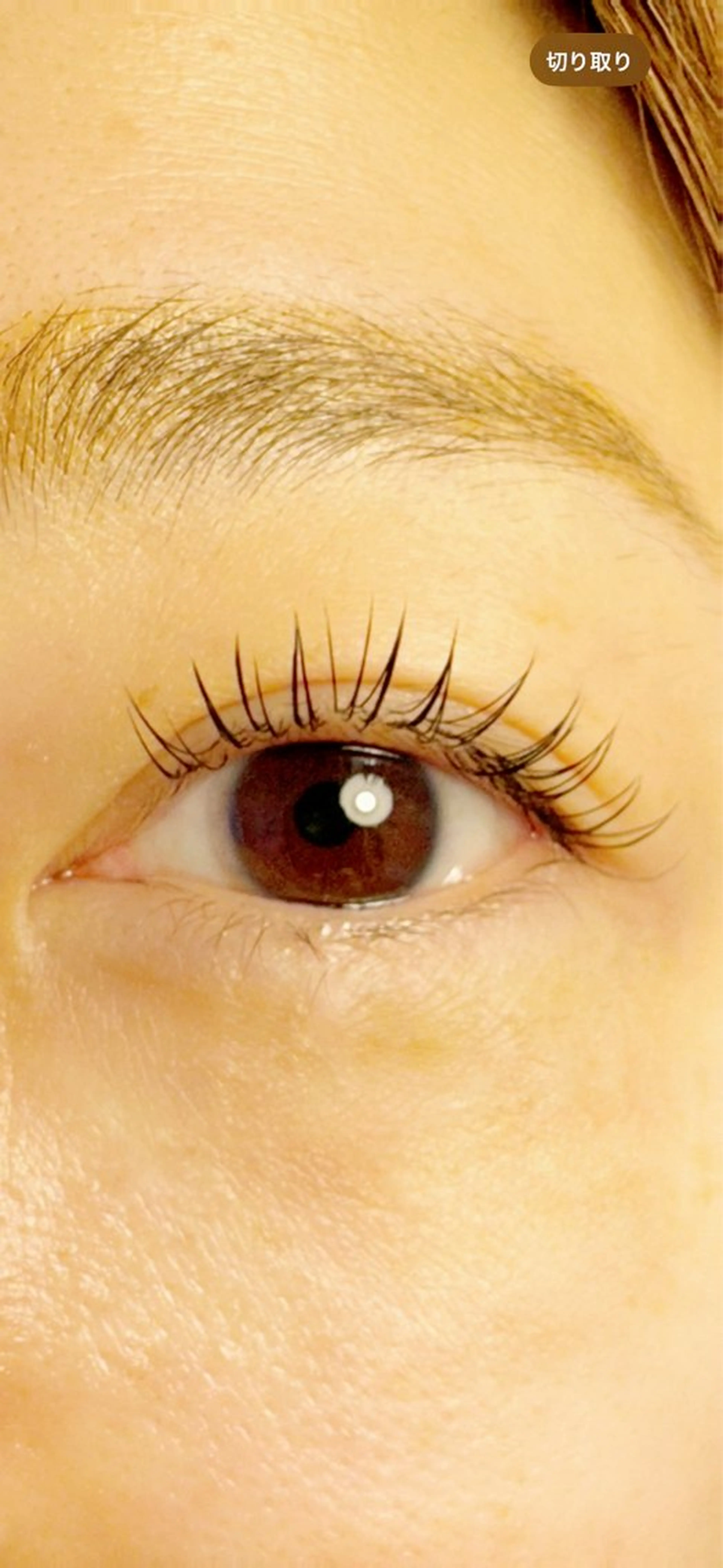 マツエク・マツパ マツエク Arinco byFate所属・Anto By Fateのマツエク・マツパデザイン