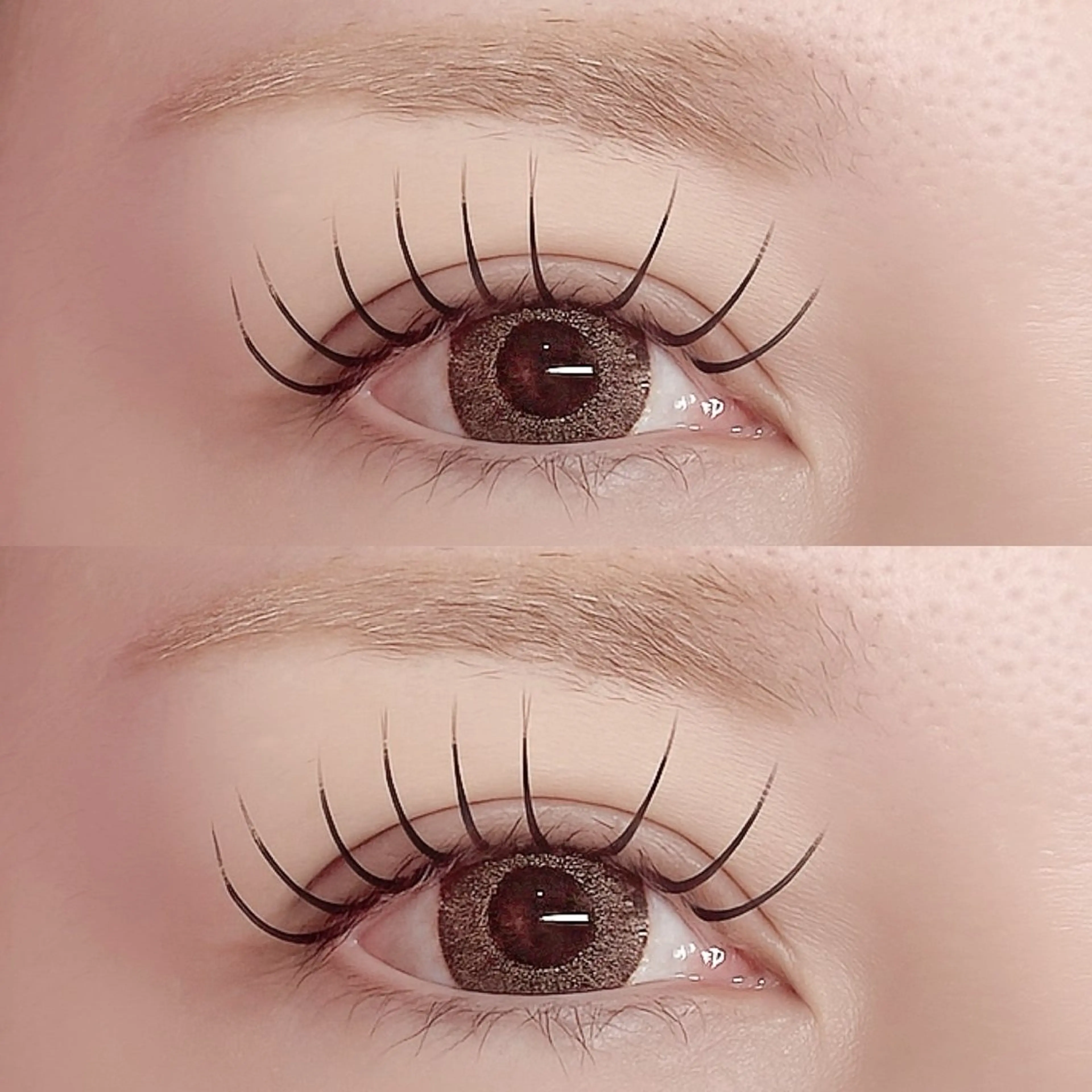 バインドロック100束(オフなし)の写真