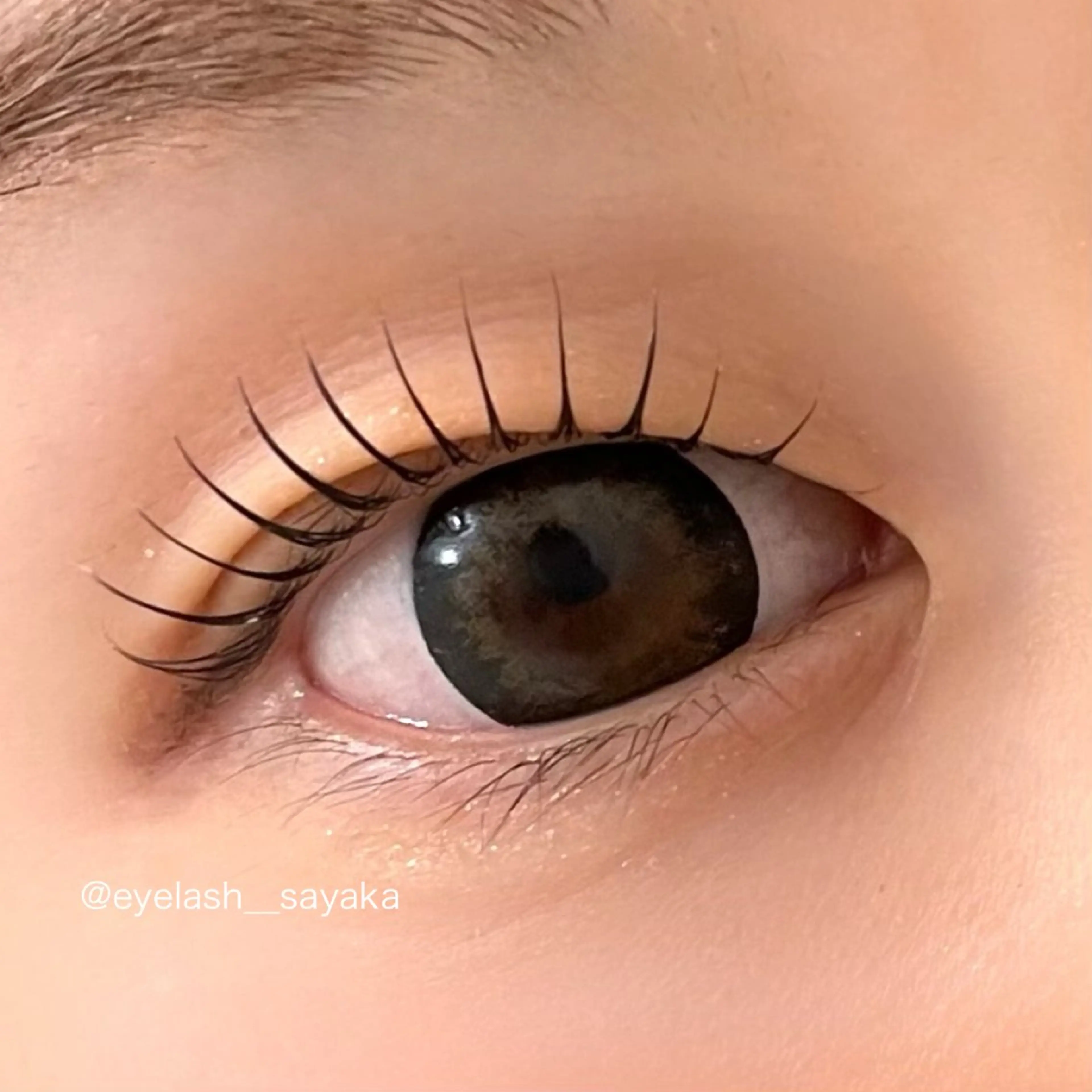 まつ毛パーマ or パリジェンヌラッシュリフト ¥6700の写真